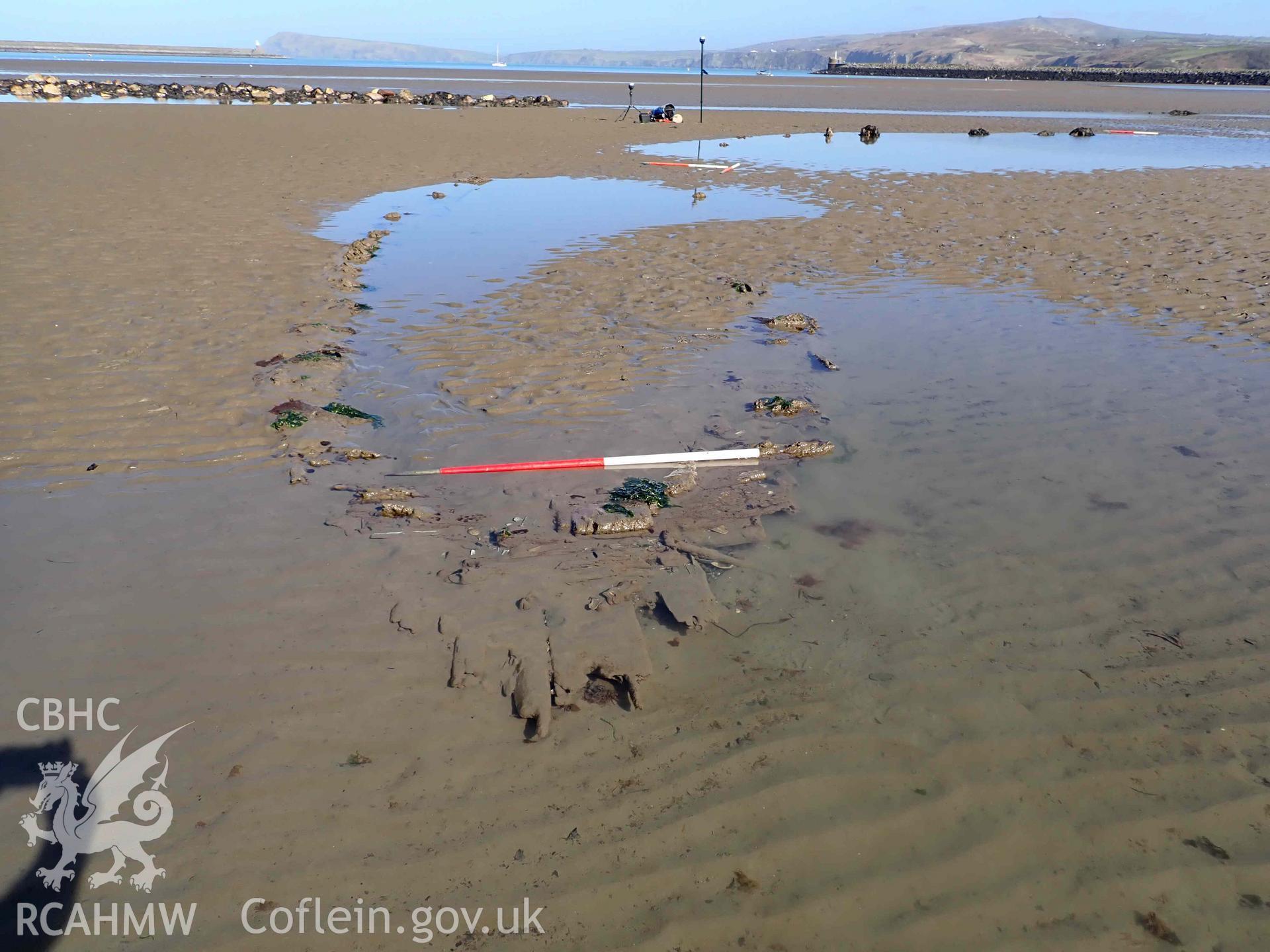 Exposed outer-planking and frames at the western end, of the western section of Goodwick Wreck 02 on 30/03/2025. Scale is 1m.