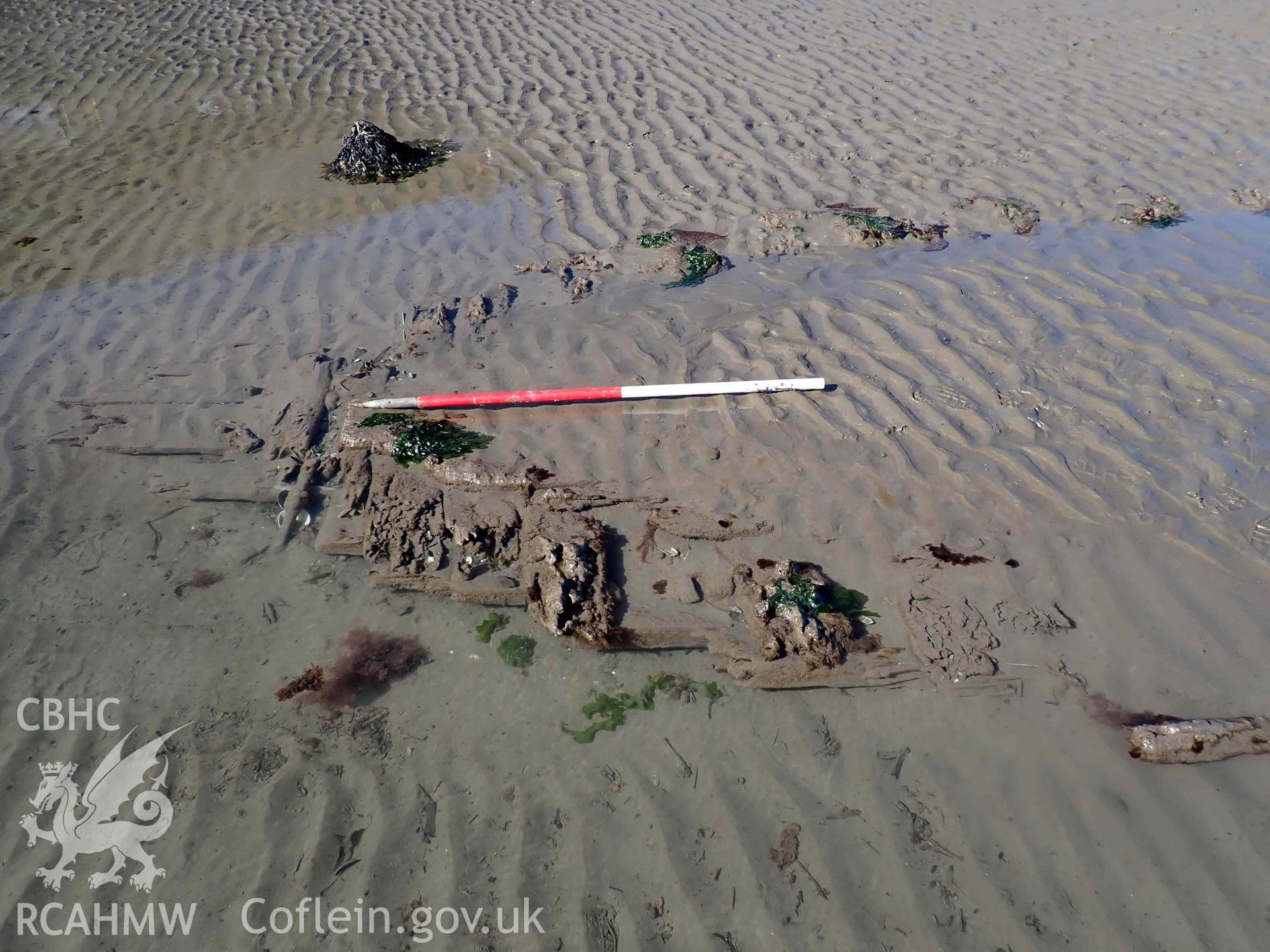 Exposed outer-planking and frames at the western end, of the western section of Goodwick Wreck 02 on 30/03/2025. Scale is 1m.