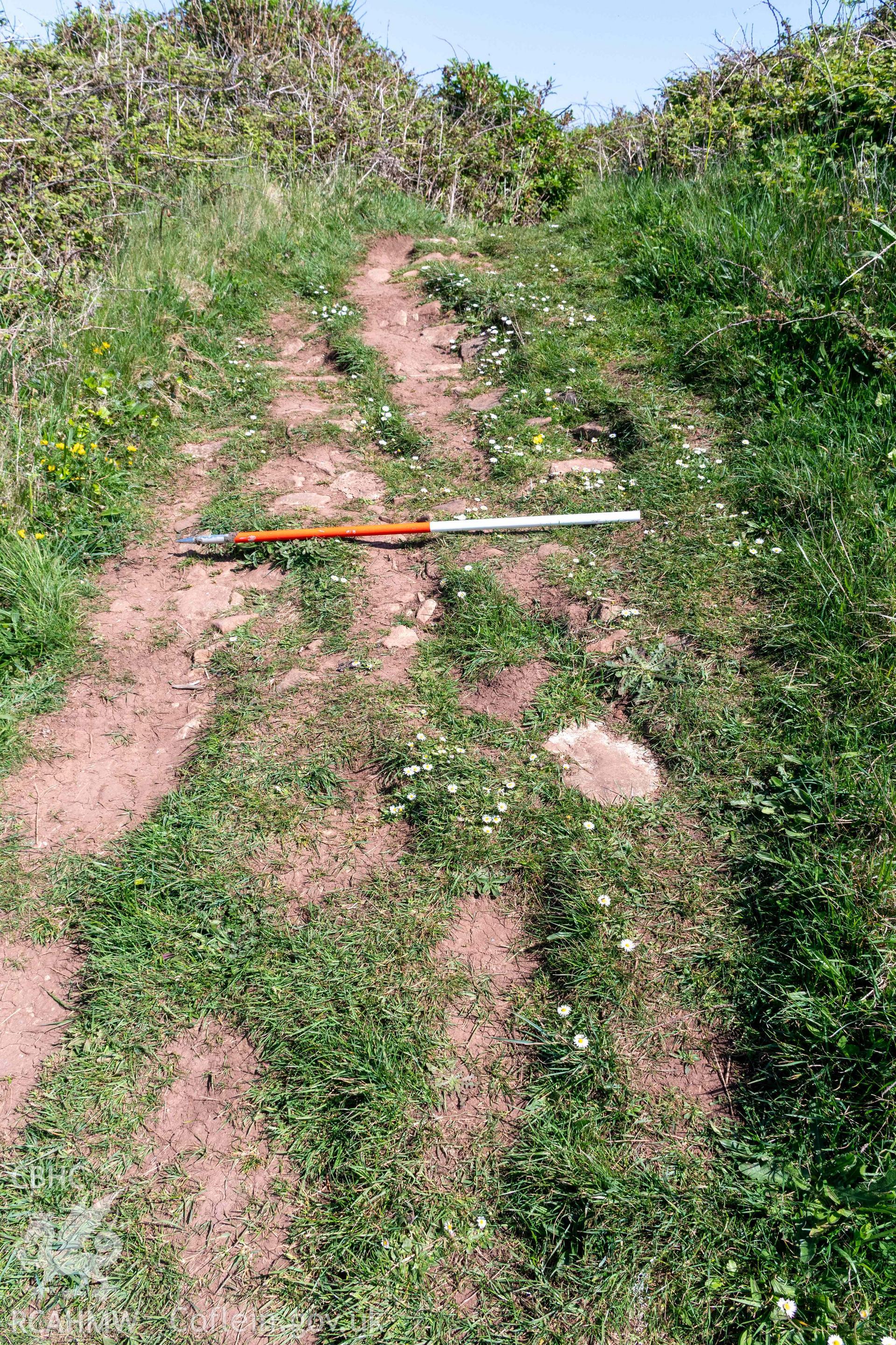 Sully Island Promontory Fort. Erosion of footpath revealing stone on outer face of middle rampart bank (with scale).