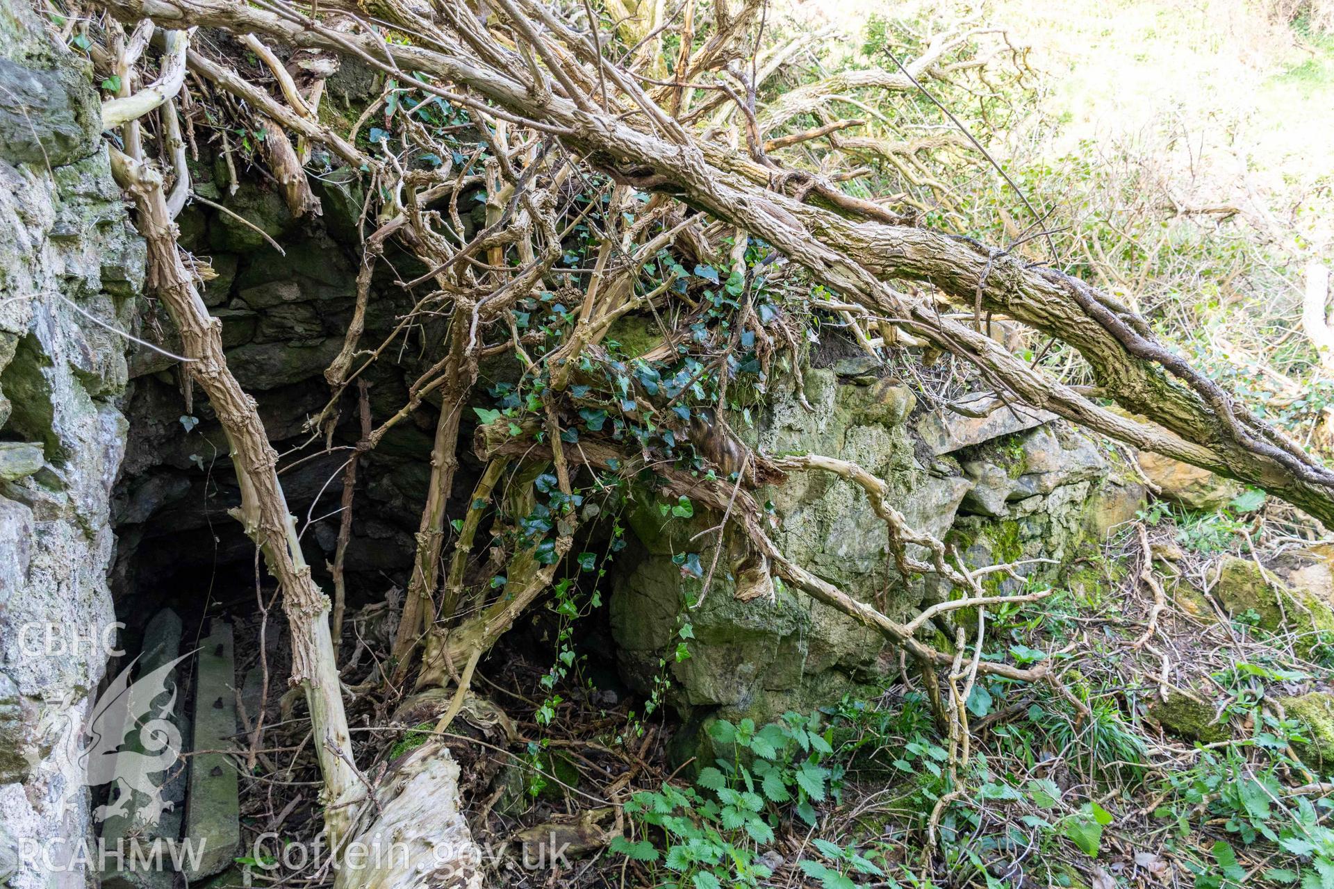 Lime Kiln, Porth y Castell. Kiln eye  and north face.