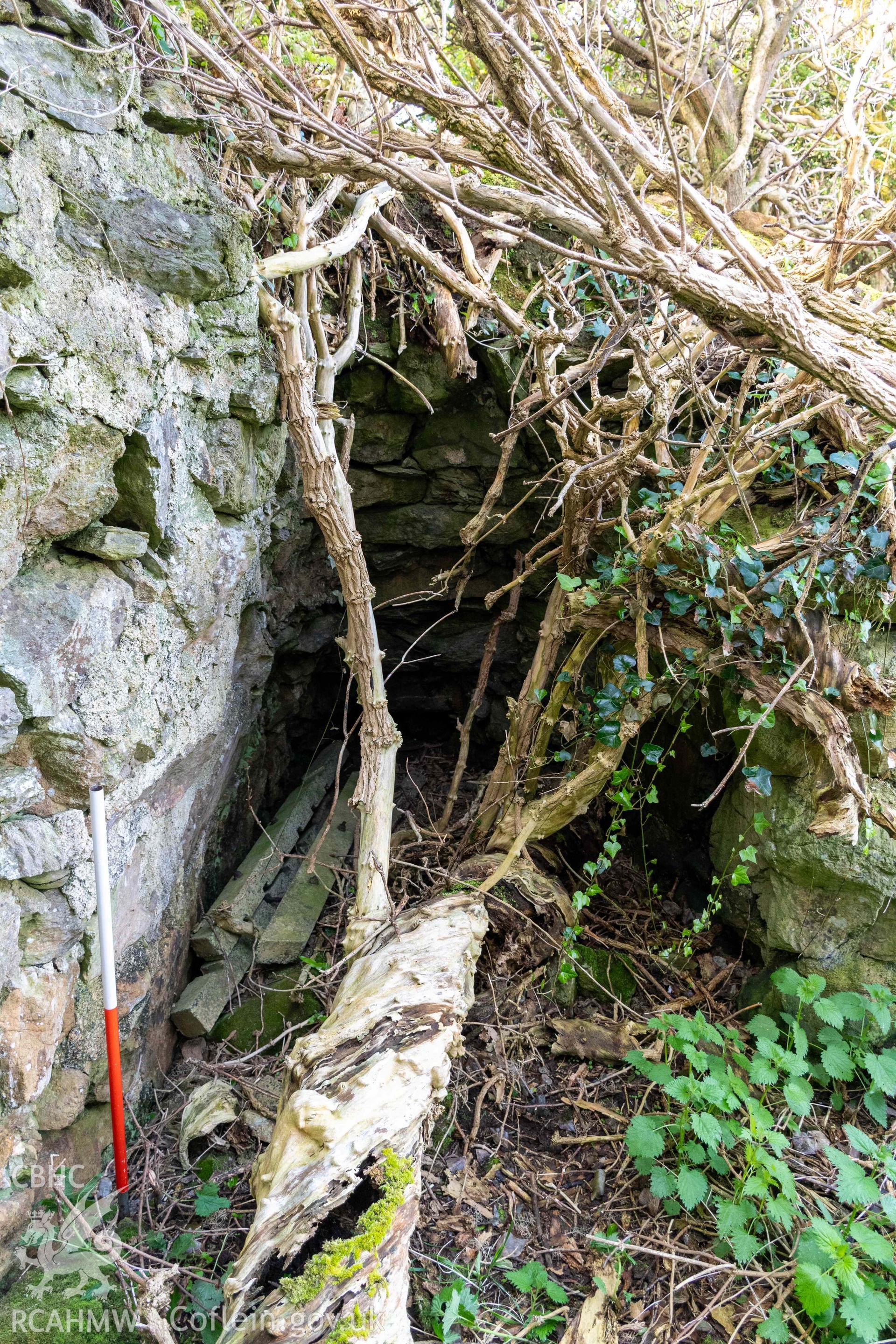 Lime Kiln, Porth y Castell. Kiln eye in north face (with scale).