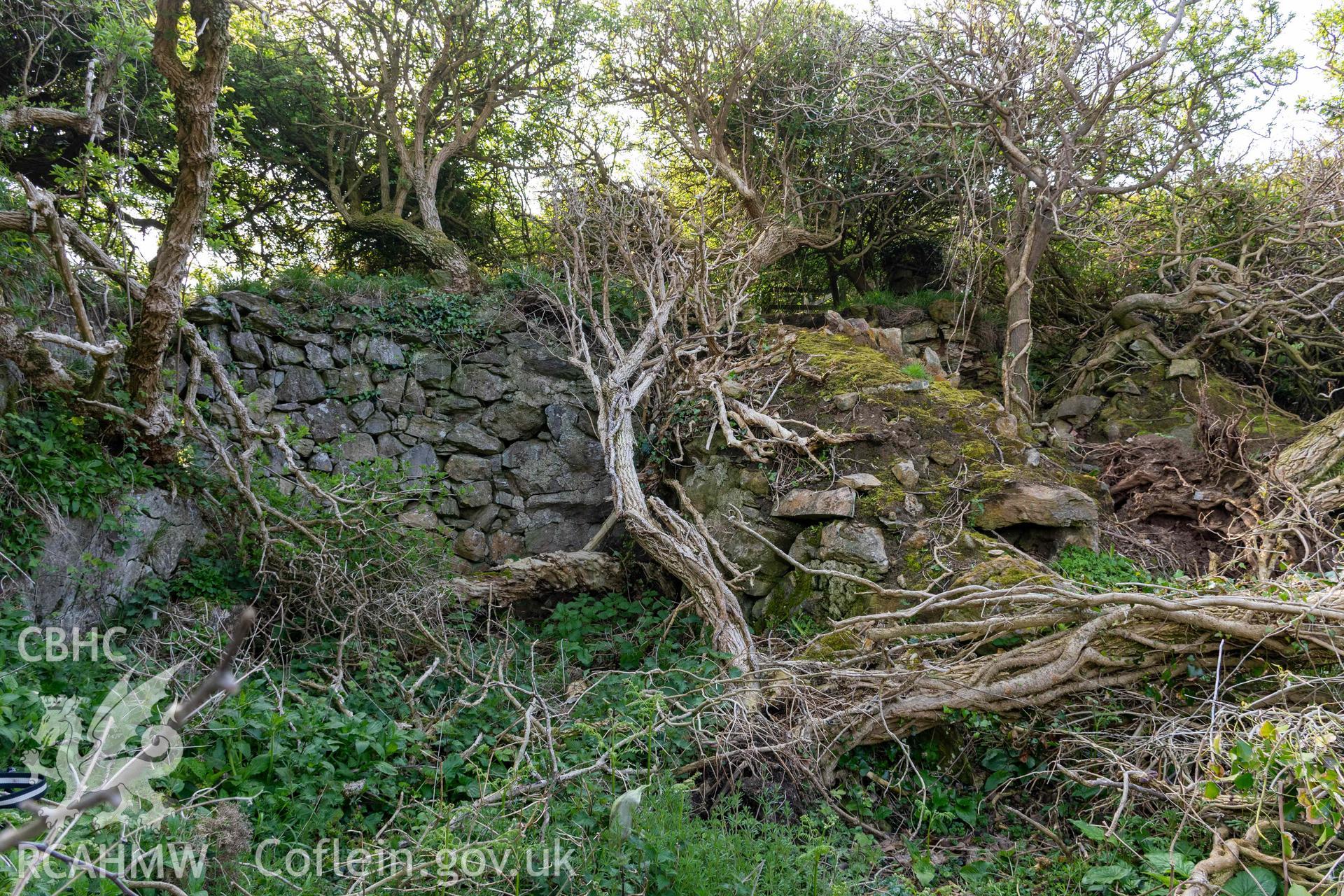 Lime Kiln, Porth y Castell. General view from the northwest.