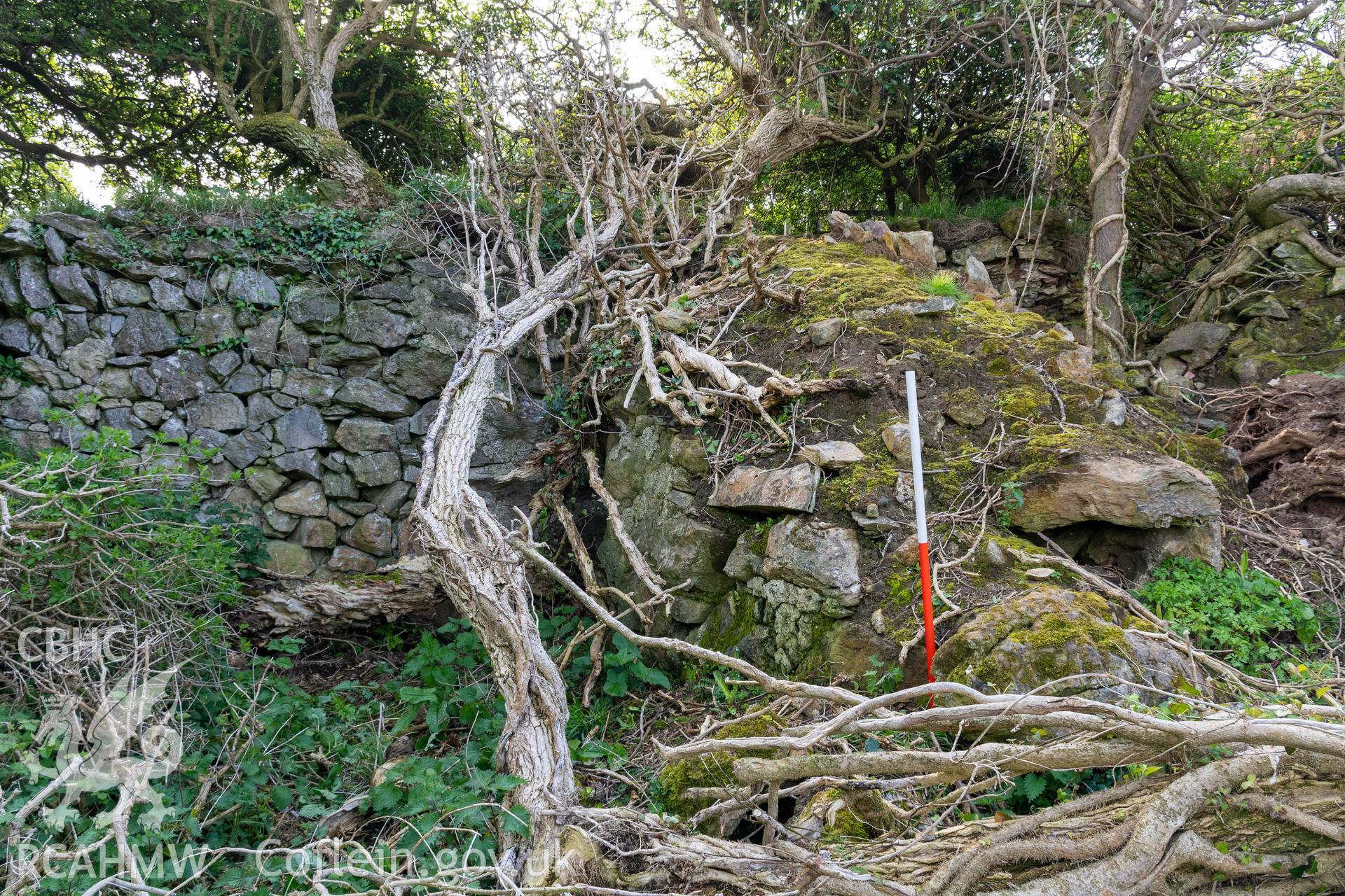 Lime Kiln, Porth y Castell. General view from the northwest (with scale).