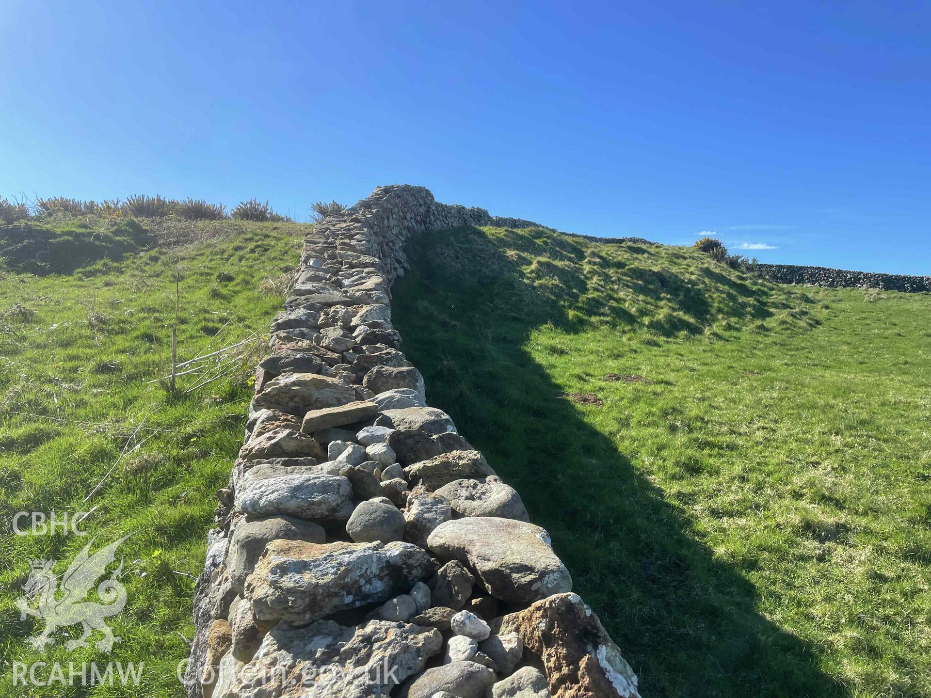 Digital photograph showing modern wall on top of rampart at Castell Mawr hillfort, produced by Paul Davis on 1 April 2025