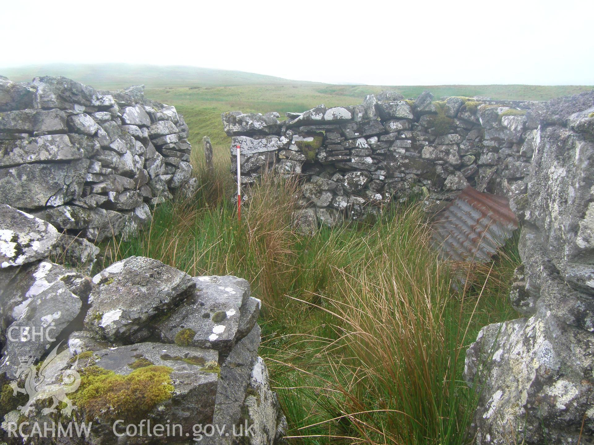 Hafod-y-Gareg Sheep Fold IV, viewed facing southeast
