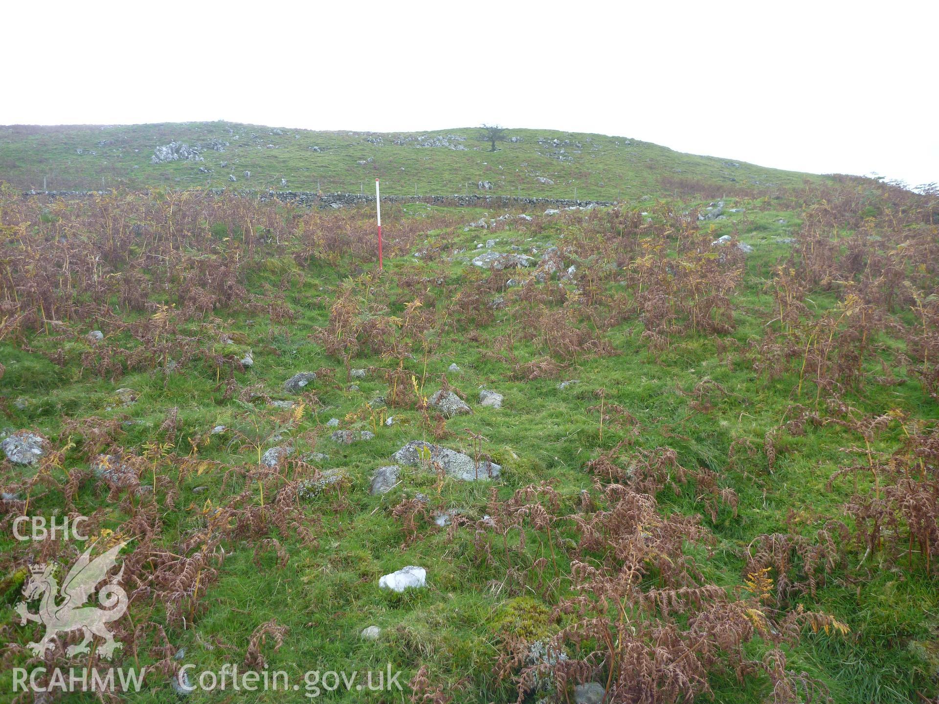 Ffridd Bod-y-Fuddau Hollow Way I, detail near Round House I, viewed facing southwest