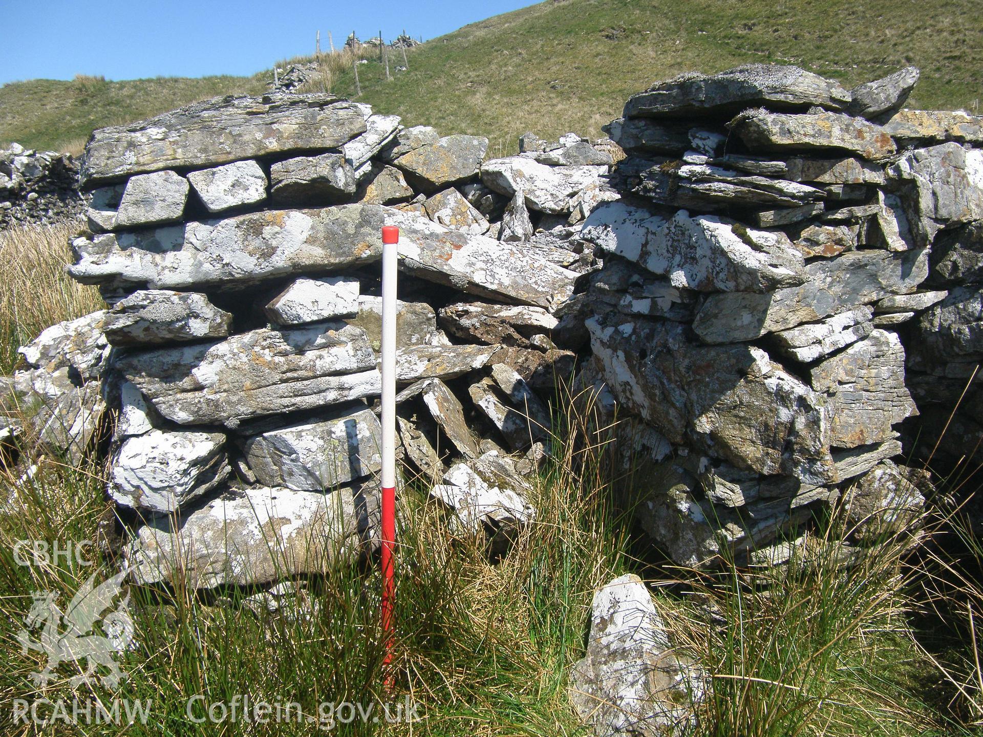 Moel Oernant Sheep Fold III, viewed facing south