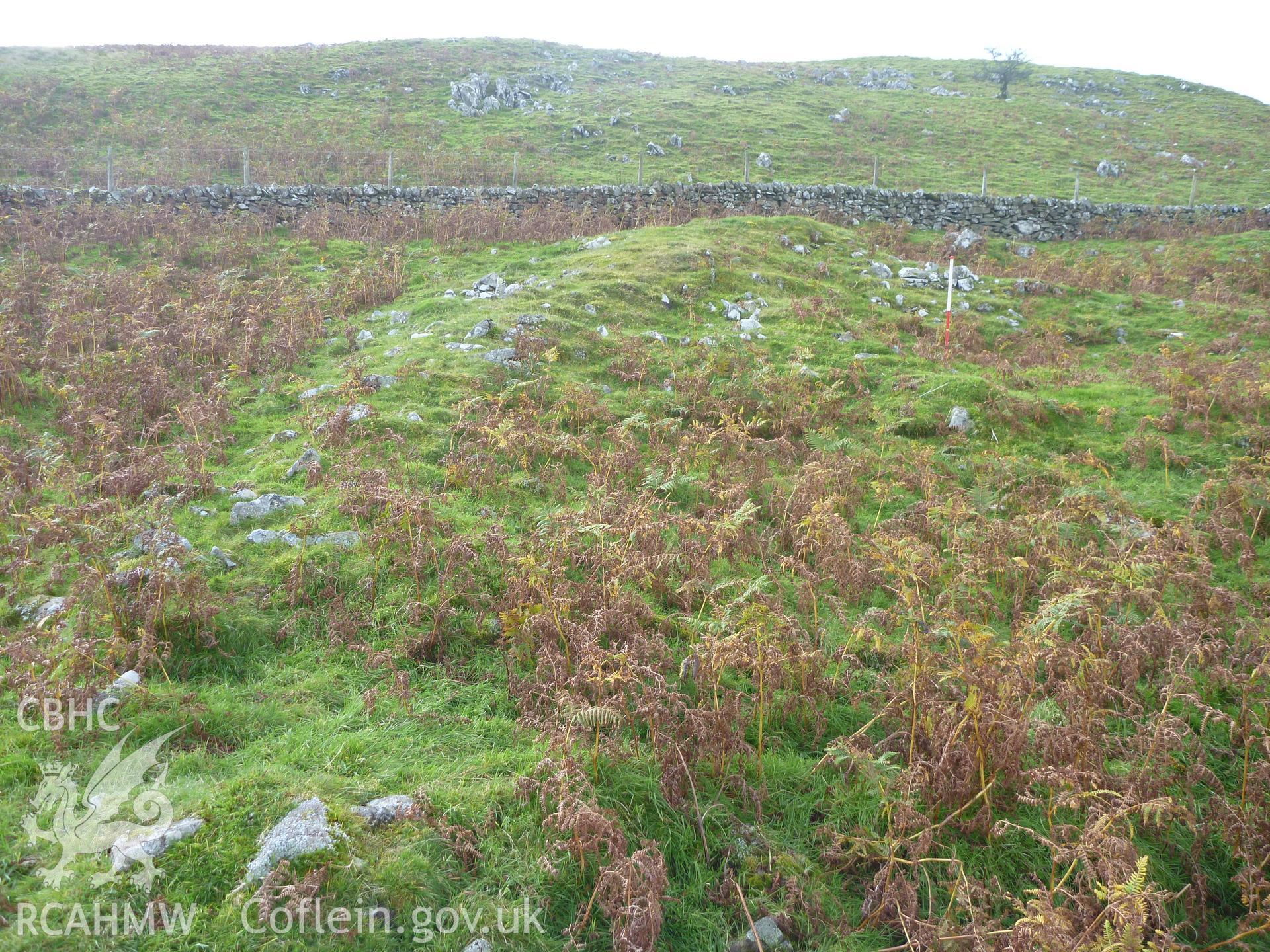 Ffridd Bod-y-Fuddau Enclosure Bank I, viewed facing west along bank