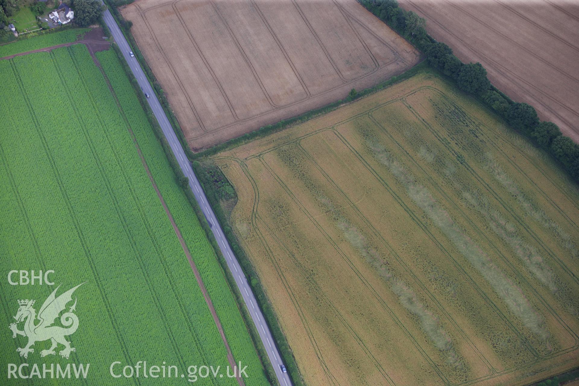 RCAHMW colour oblique aerial photograph of an enclosure cropmark at Cat and Fiddle. Taken on 23 July 2009 by Toby Driver