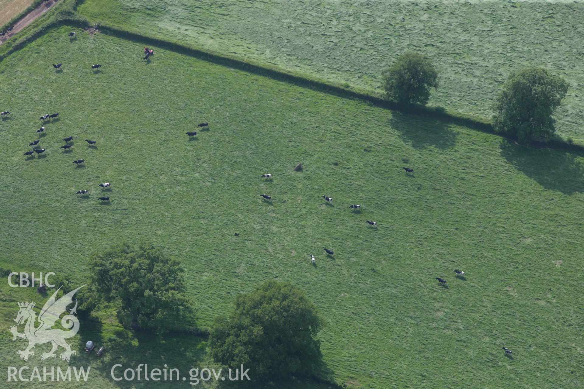 RCAHMW colour oblique aerial photograph of Waen-y-'Ffeirad Stone, Llangybi. Taken on 11 June 2009 by Toby Driver