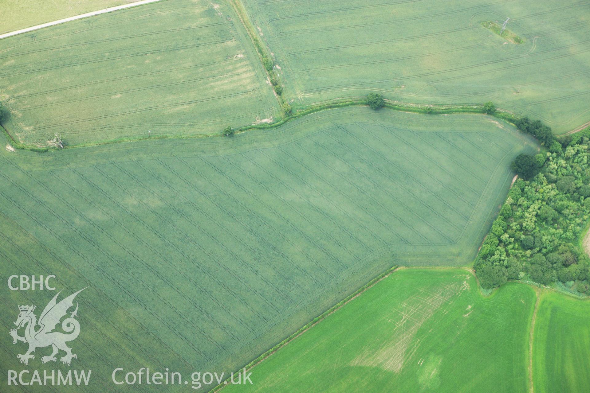 RCAHMW colour oblique aerial photograph of Gerwyn-Fechan Cropmarks showing a ring ditch. Taken on 29 June 2009 by Toby Driver