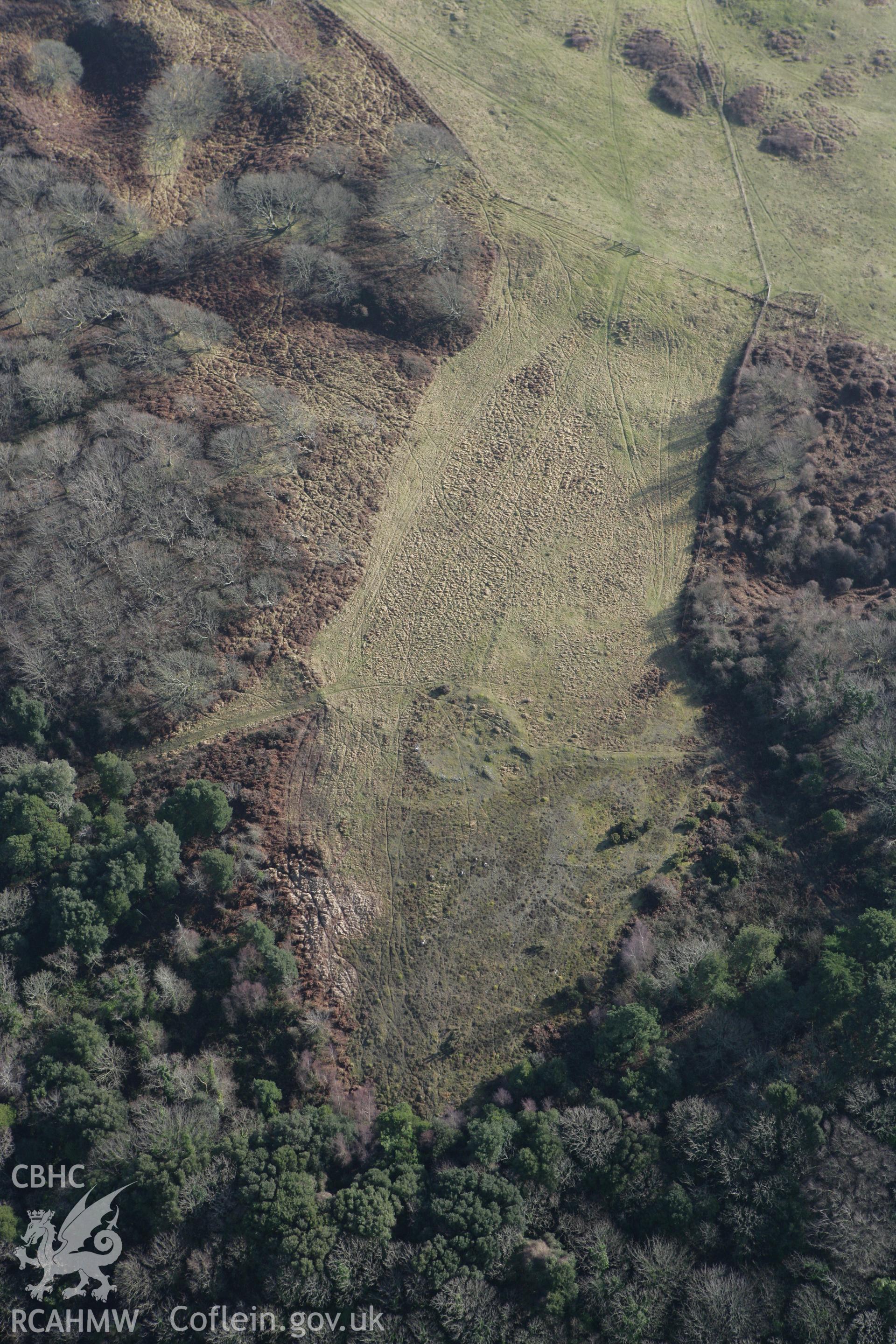 RCAHMW colour oblique aerial photograph of Stackpole Warren 'Ancient Village'. Taken on 28 January 2009 by Toby Driver