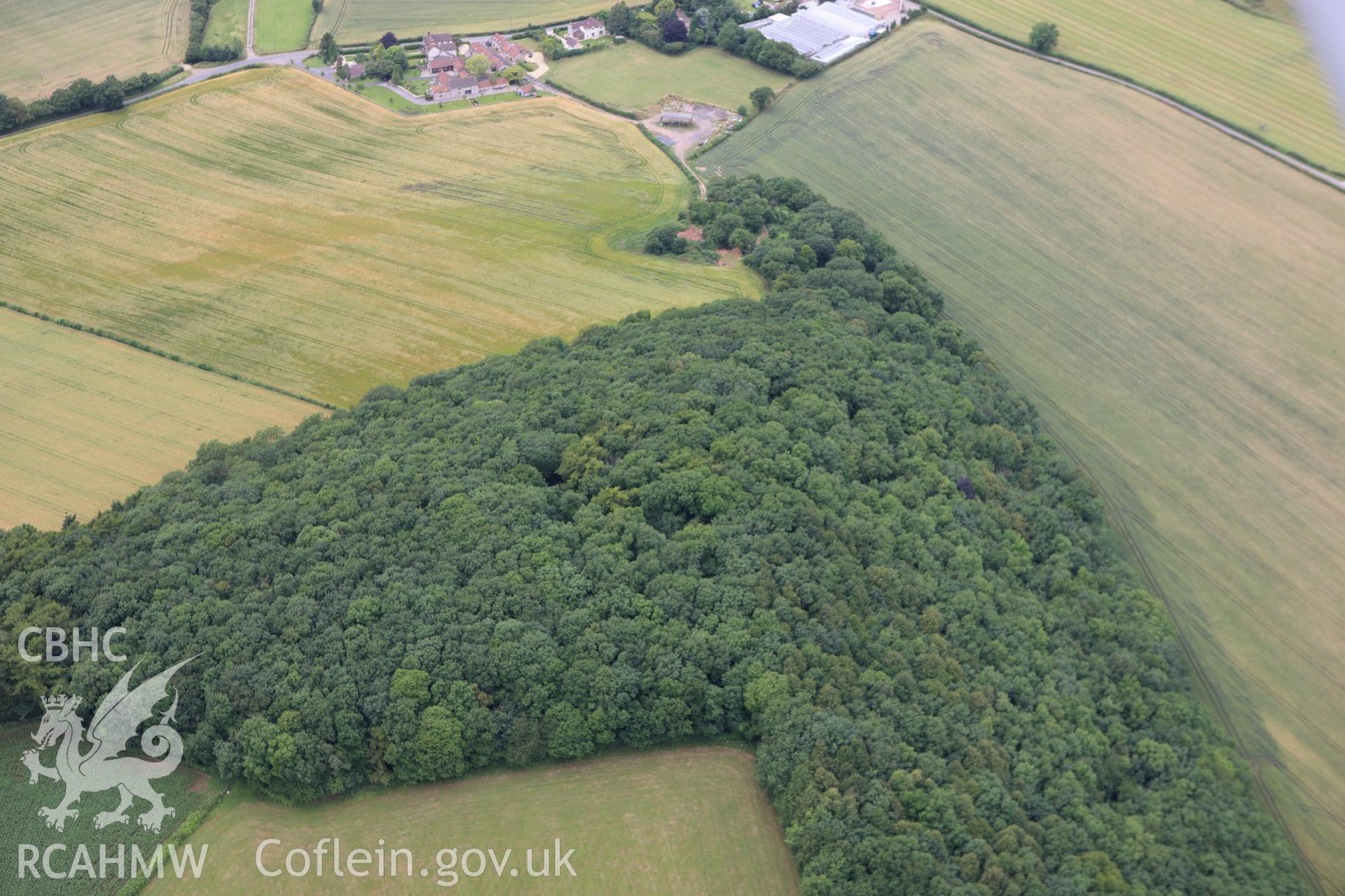 RCAHMW colour oblique aerial photograph of The Larches Defended Enclosure. Taken on 09 July 2009 by Toby Driver