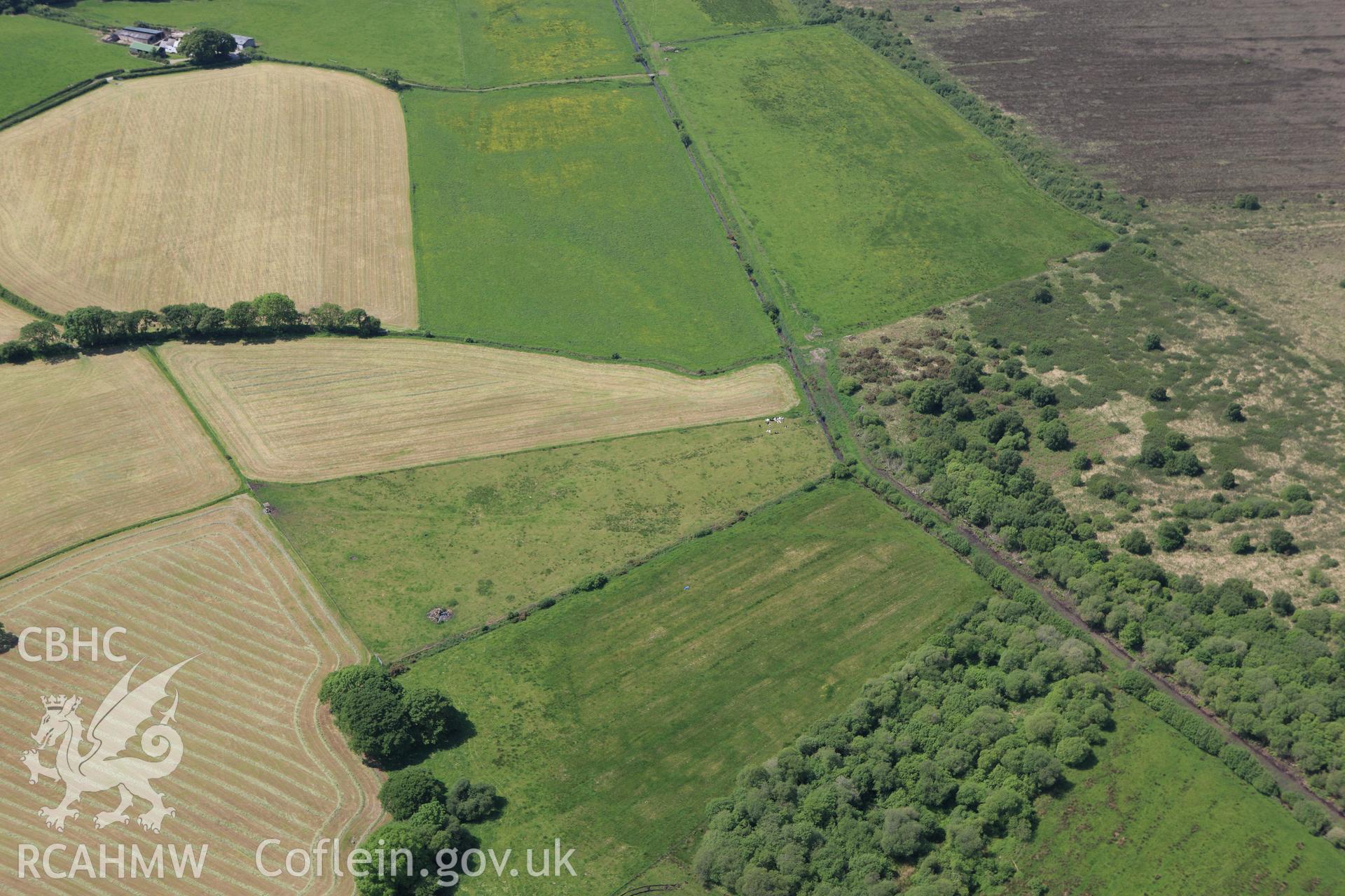 RCAHMW colour oblique aerial photograph of Llangynfelin Timber Trackway. Taken on 02 June 2009 by Toby Driver