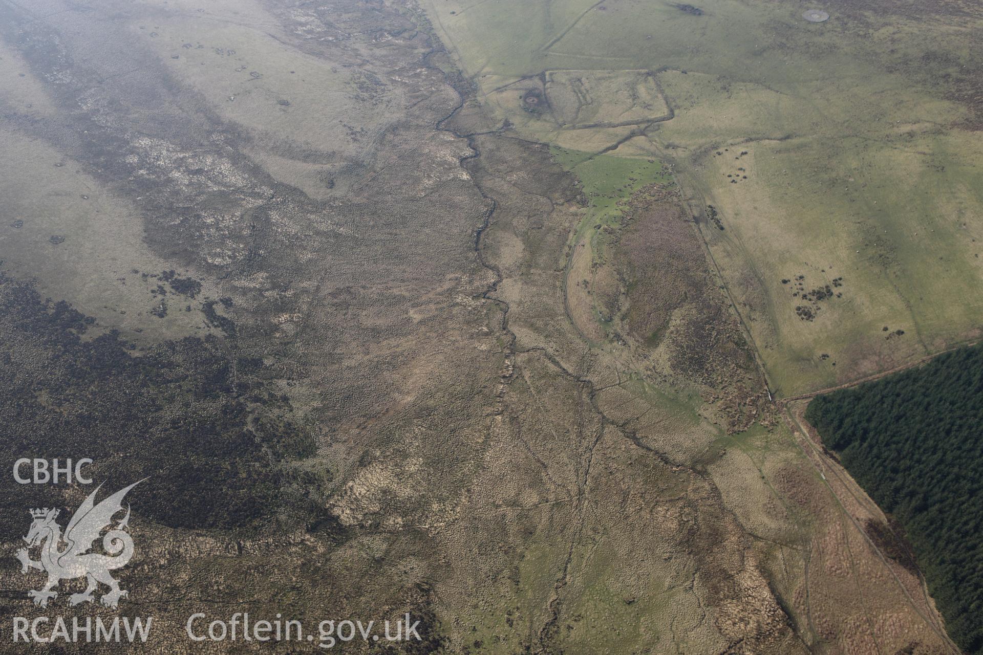 RCAHMW colour oblique photograph of Hen Ddinbych. Taken by Toby Driver on 18/03/2009.