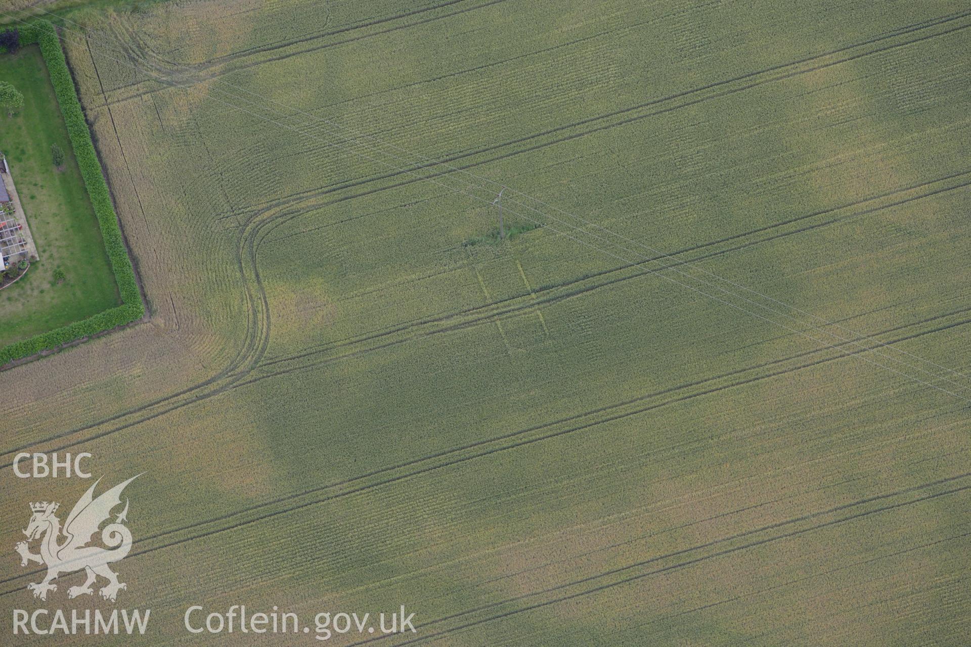 RCAHMW colour oblique aerial photograph of rectangular building cropmarks at Lane Farm. Taken on 08 July 2009 by Toby Driver
