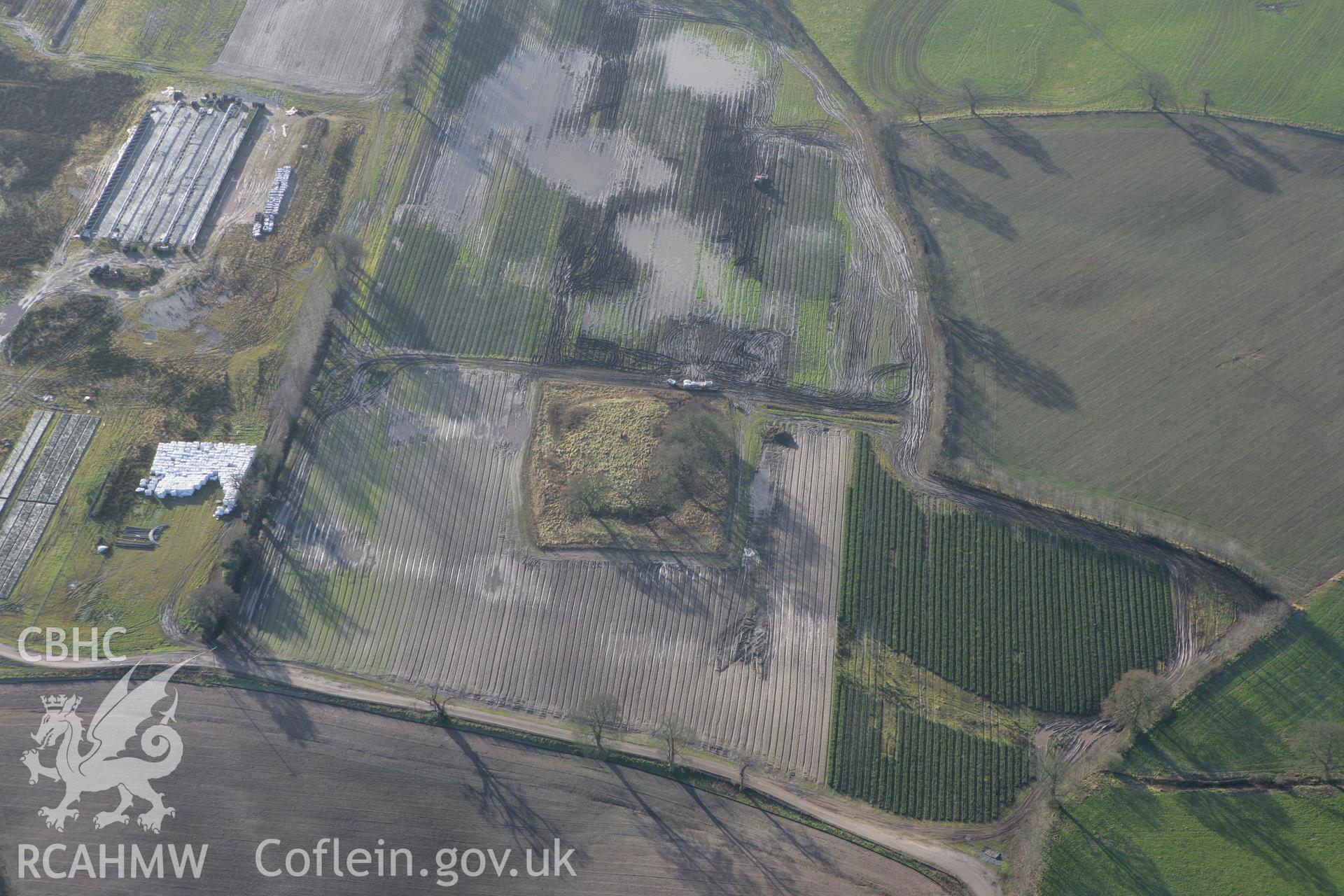 RCAHMW colour oblique photograph of Haulton Ring moated site. Taken by Toby Driver on 21/01/2009.