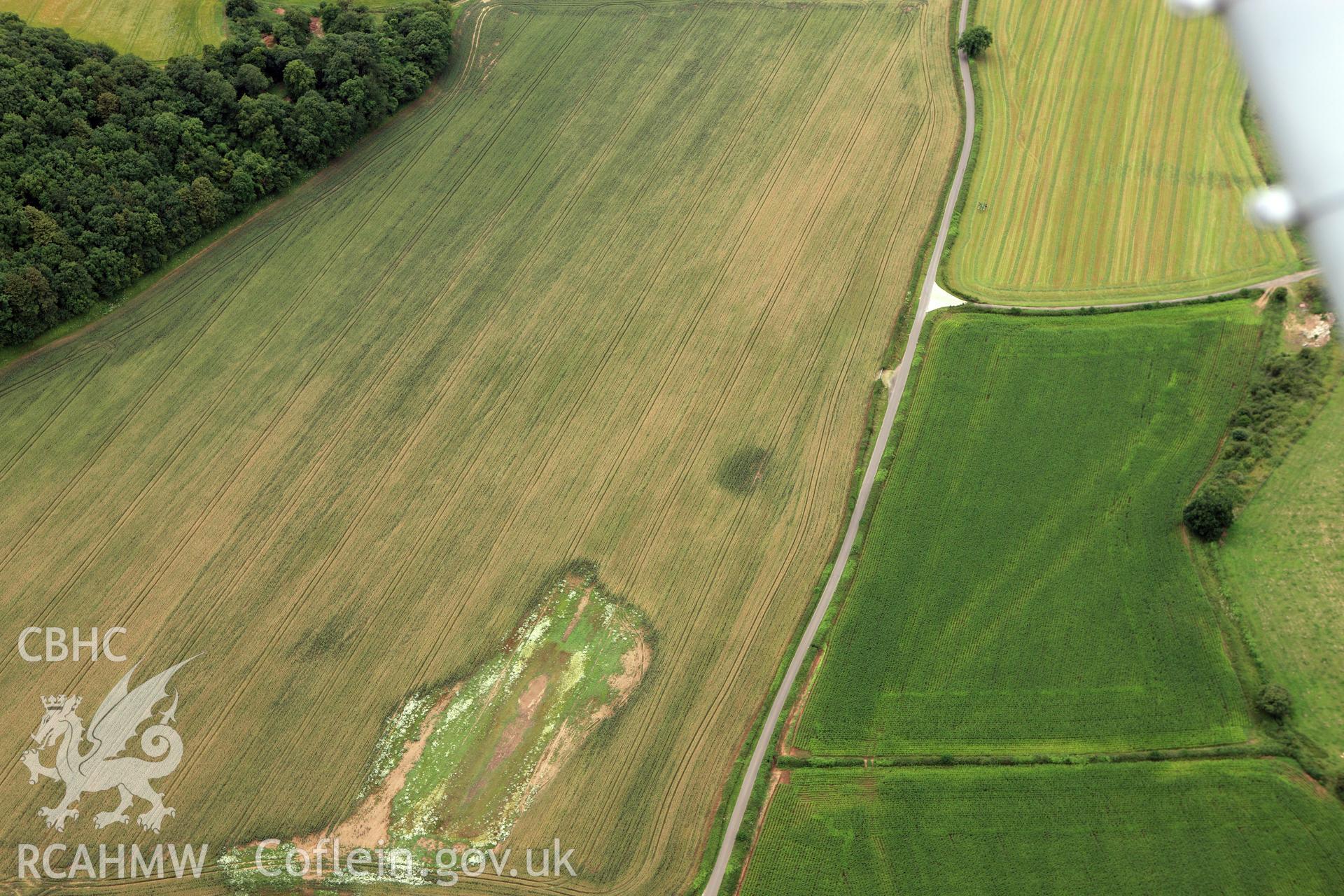 RCAHMW colour oblique aerial photograph of the cropmark of Carrow Hill Round Barrow. Taken on 09 July 2009 by Toby Driver