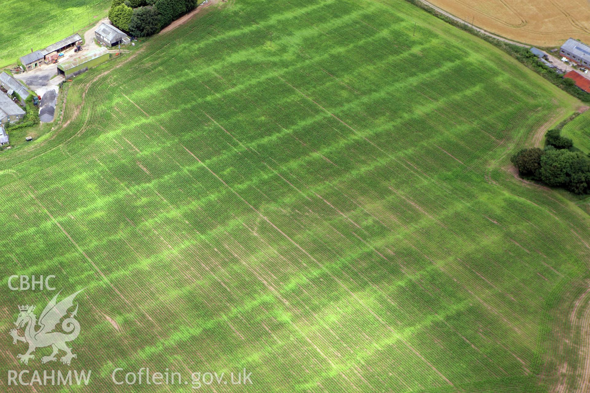 RCAHMW colour oblique aerial photograph of a possible Roman Villa at Fairwater Farm. Taken on 09 July 2009 by Toby Driver