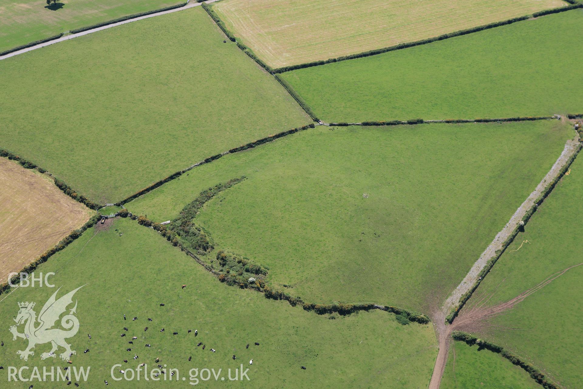 RCAHMW colour oblique aerial photograph of Parc-y-Castell (Pant-y-Phillip) Taken on 01 June 2009 by Toby Driver
