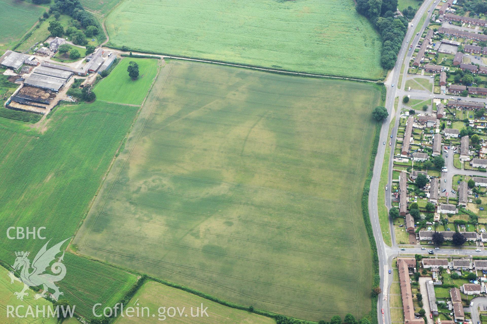 RCAHMW colour oblique aerial photograph of cropmarks northwest of Llwyn Knottia. Taken on 29 June 2009 by Toby Driver