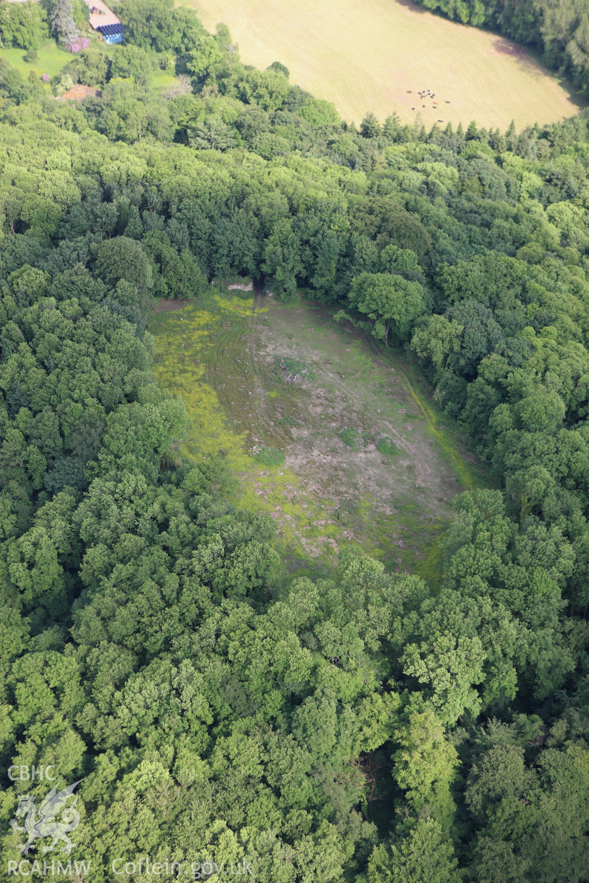 RCAHMW colour oblique aerial photograph of Llangybi Castle. Taken on 11 June 2009 by Toby Driver