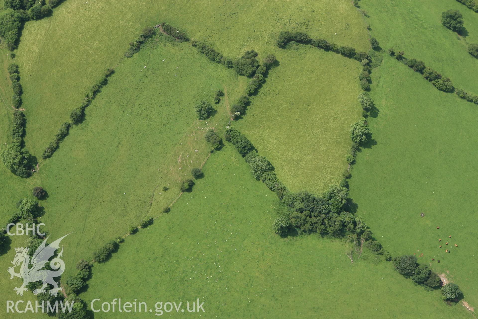 RCAHMW colour oblique aerial photograph of Cwm Mawr Axe Factory, Hyssington. Taken on 29 June 2009 by Toby Driver