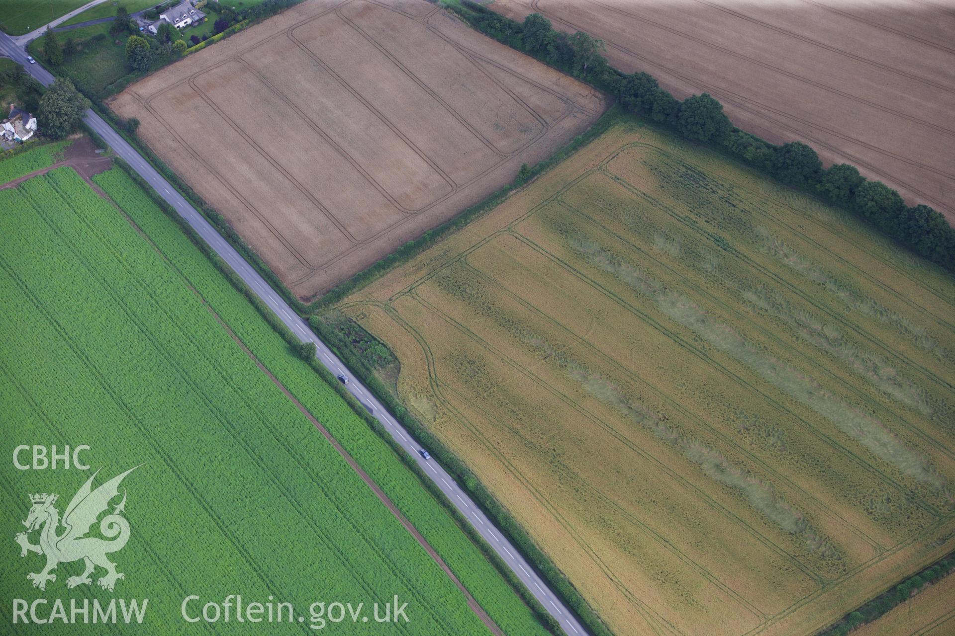 RCAHMW colour oblique aerial photograph of an enclosure cropmark at Cat and Fiddle. Taken on 23 July 2009 by Toby Driver