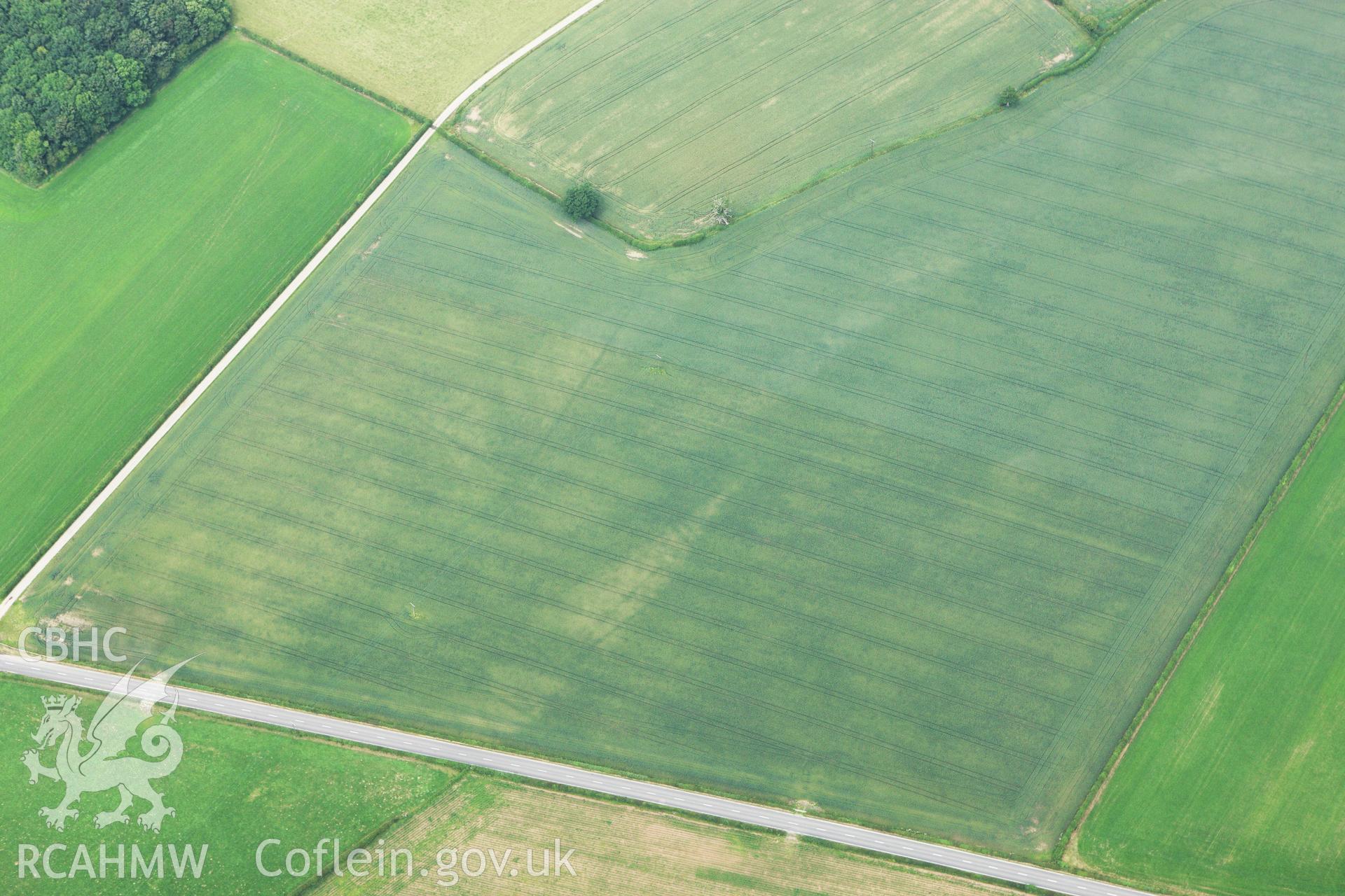 RCAHMW colour oblique aerial photograph of Gerwyn-Fechan Cropmarks showing a ring ditch. Taken on 29 June 2009 by Toby Driver