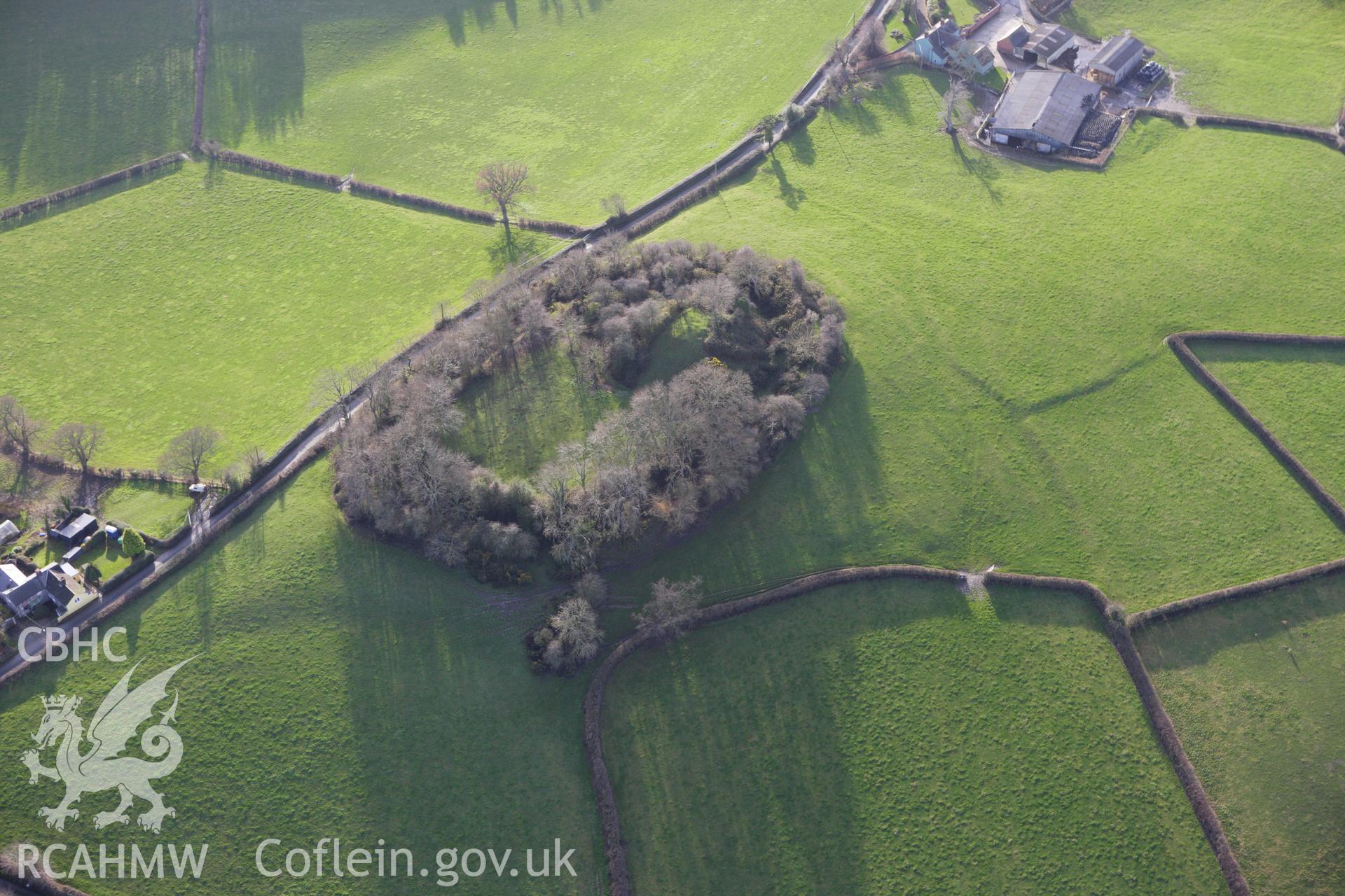 RCAHMW colour oblique aerial photograph of motte and bailey at Hen Domen, Montgomery. Taken on 10 December 2009 by Toby Driver