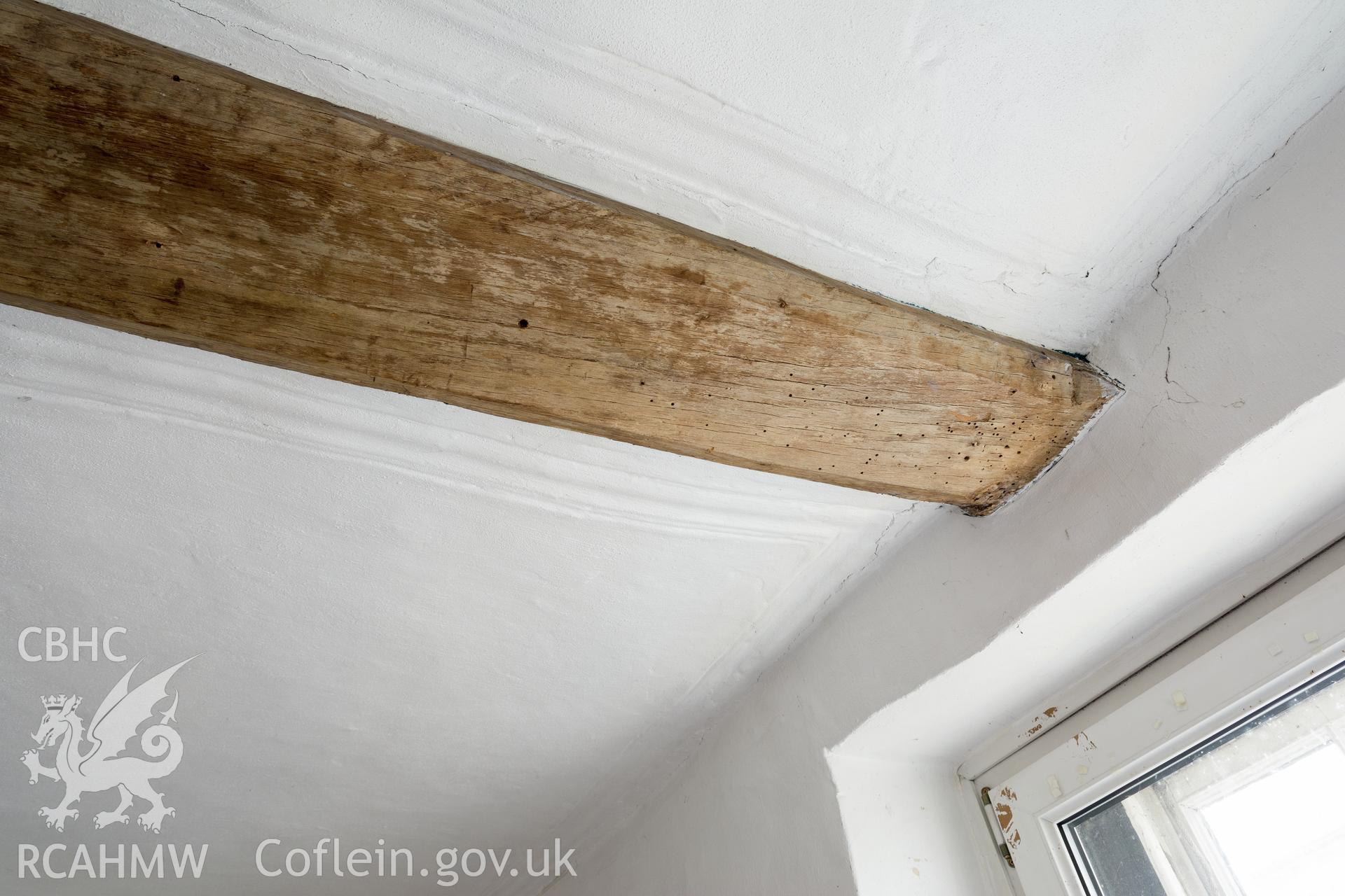 Interior view of chapel  wing: Chapel wing: first-floor  ogee-stopped beam and ceiling moulding, taken by Martin Crampin for RCAHMW 21st March 2017.