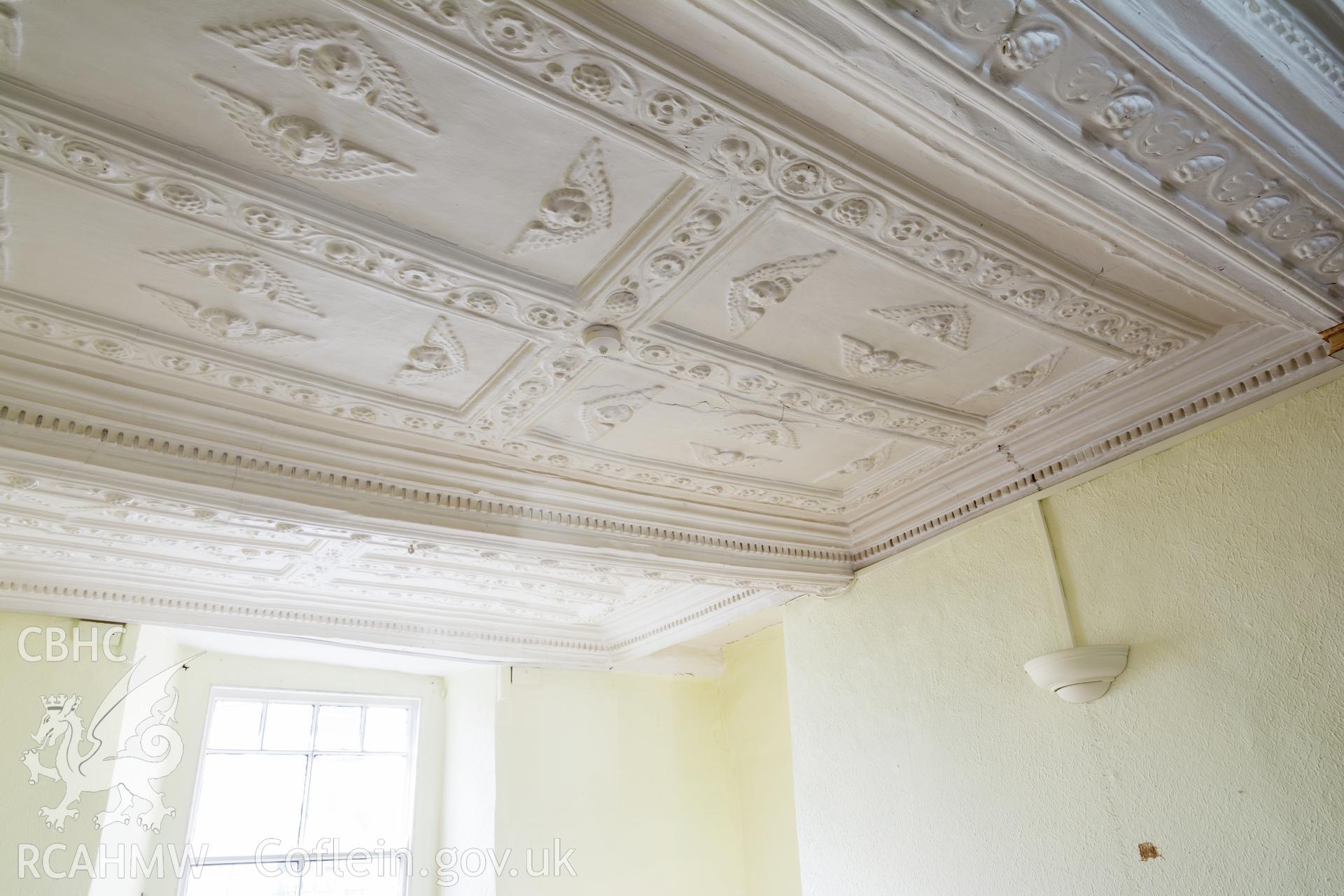 Principal chamber ceiling detail, taken by Martin Crampin for RCAHMW 21st March 2017.