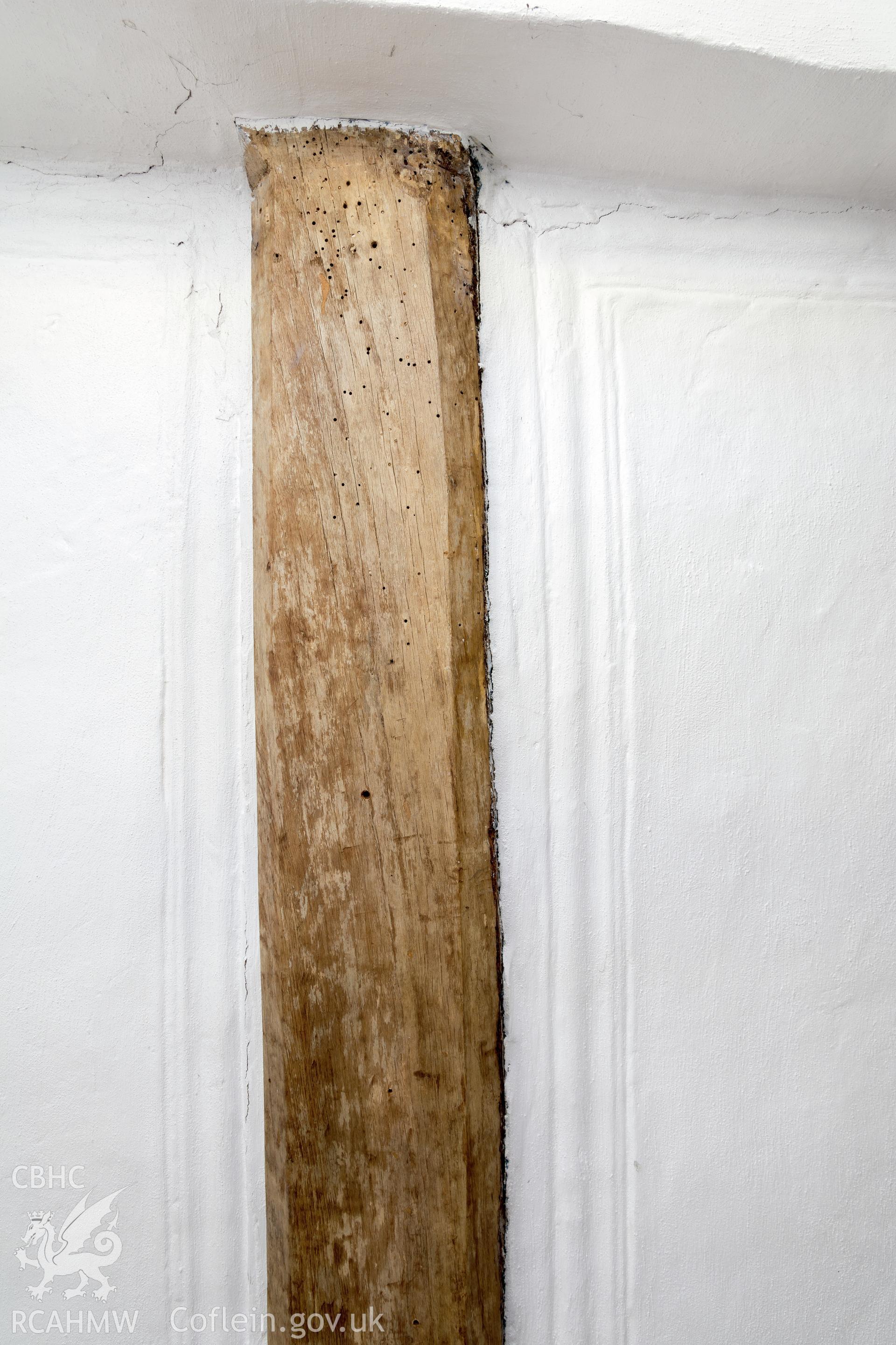 Interior view of chapel wing: first-floor  ogee-stopped beam and ceiling moulding,  taken by Martin Crampin for RCAHMW 21st March 2017.