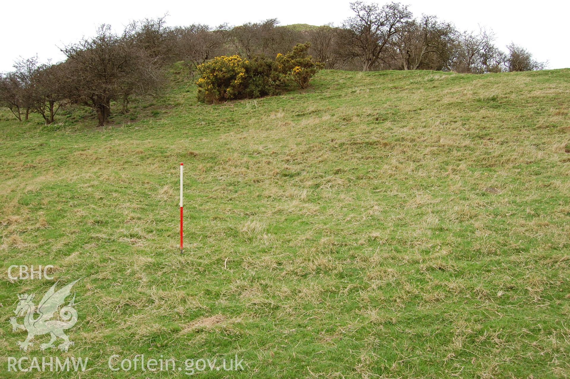 Digital photograph from an archaeological assessment of Deganwy Castle, carried out by Gwynedd Archaeological Trust, 2009. House platform in South settlement.