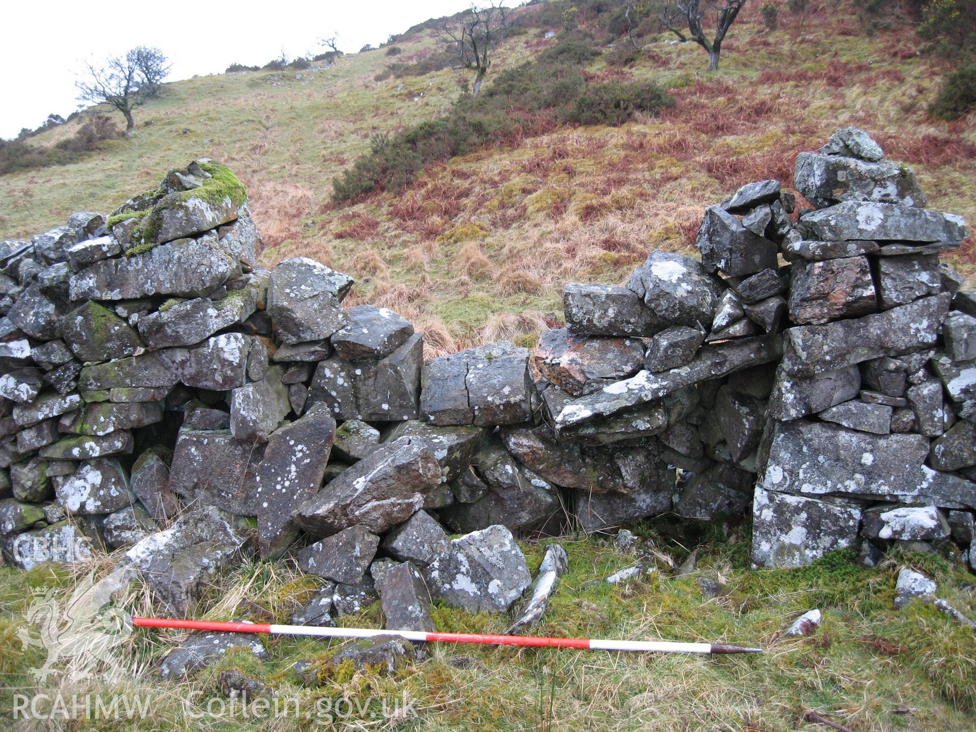 Northeast Of Gelli Gain Stock Enclosure I, viewed facing northwest