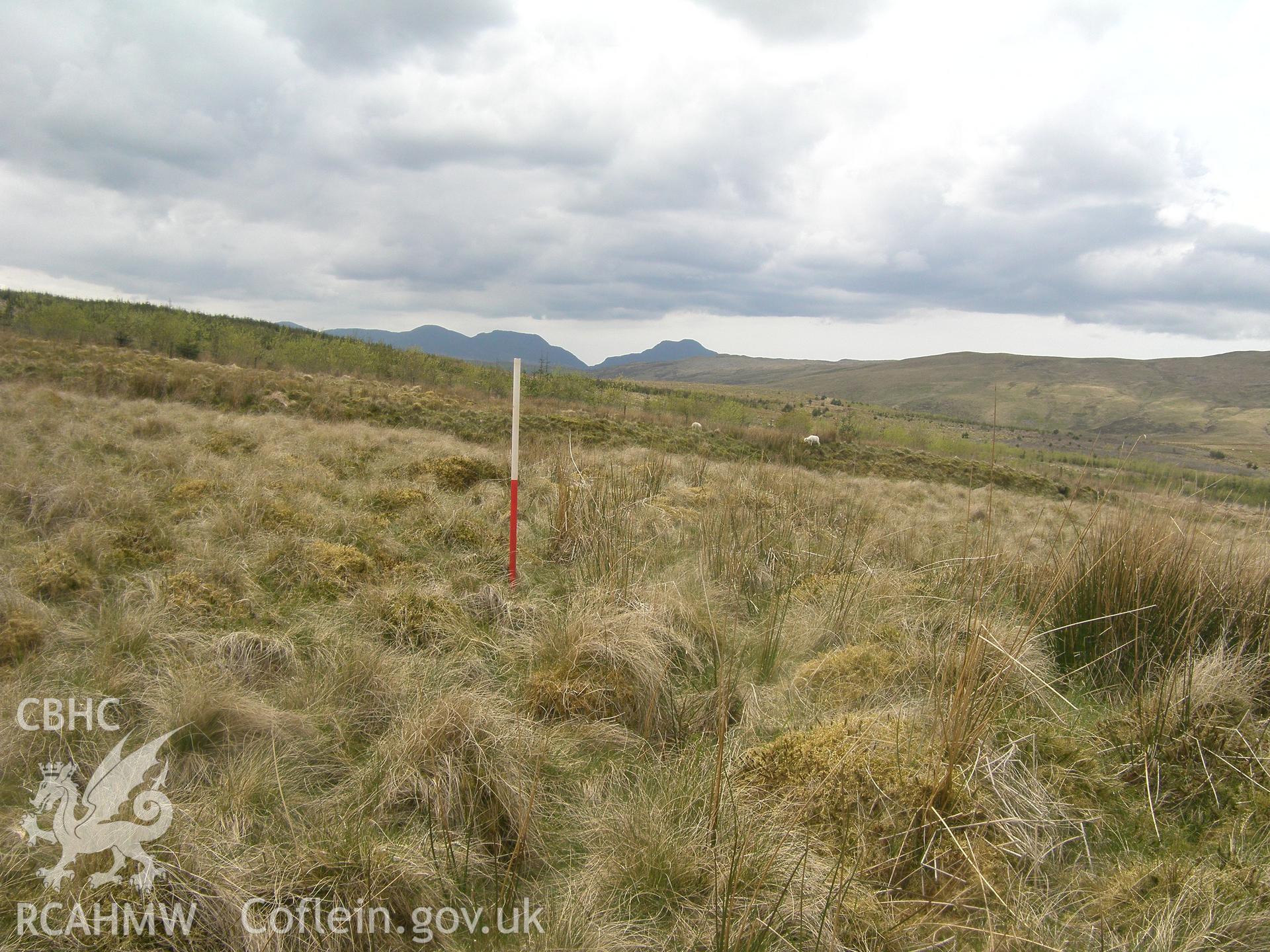 Dol-y-Moch-Uchaf Bank VIII, viewed facing southwest