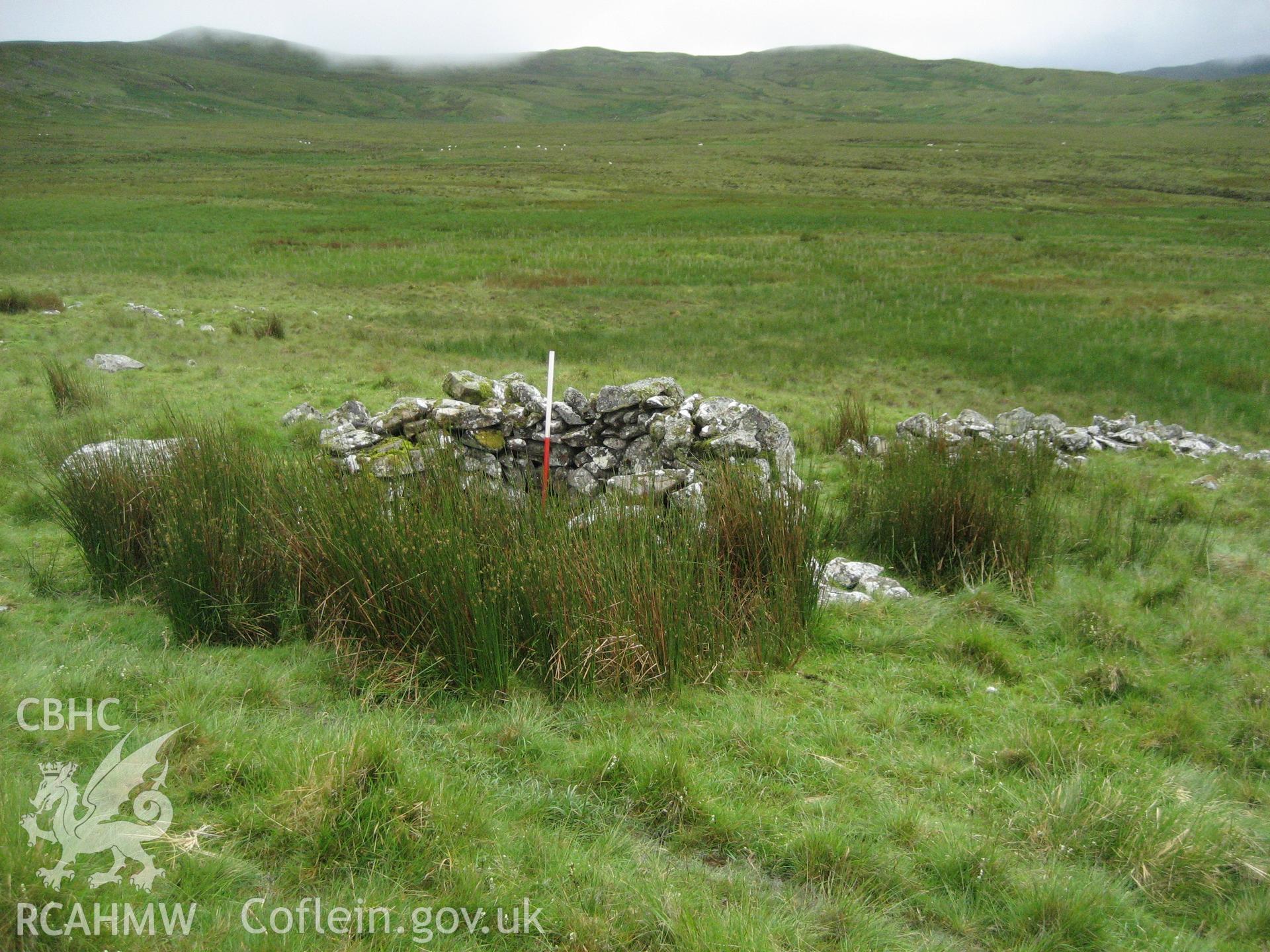 Bryn yr Helfa Sheep Pen I, viewed facing southwest