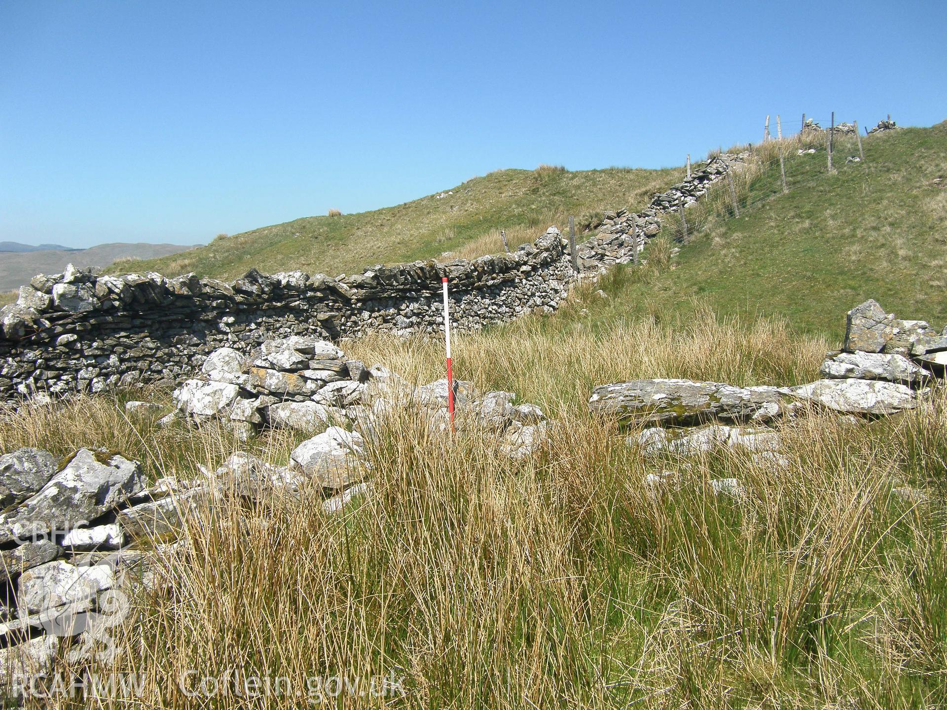 Moel Oernant Sheep Fold III, viewed facing northeast