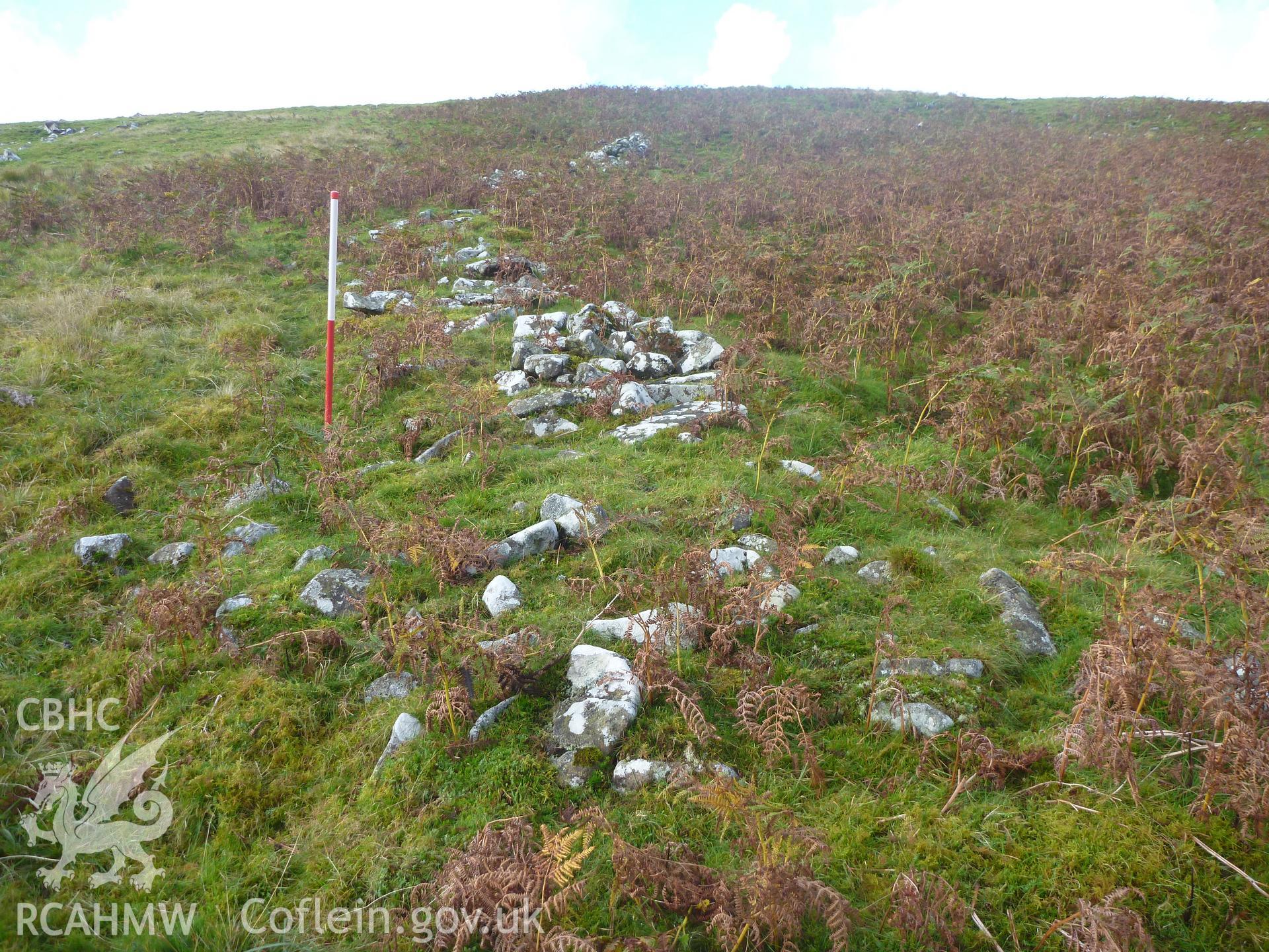 Ffridd Ddu Oval Enclosure I, detail of enclosure bank, viewed facing west