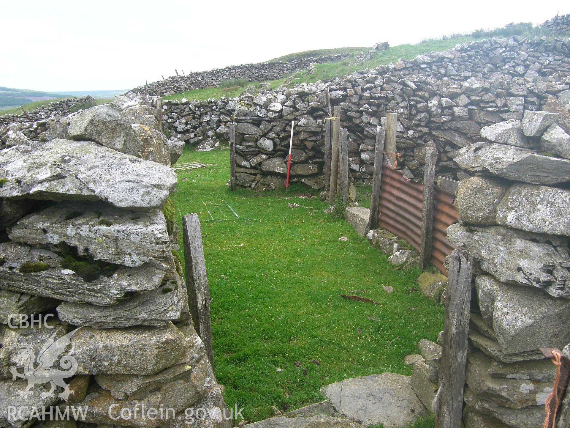 Moel yr Wden Sheep Fold V, view into small pen facing northeast