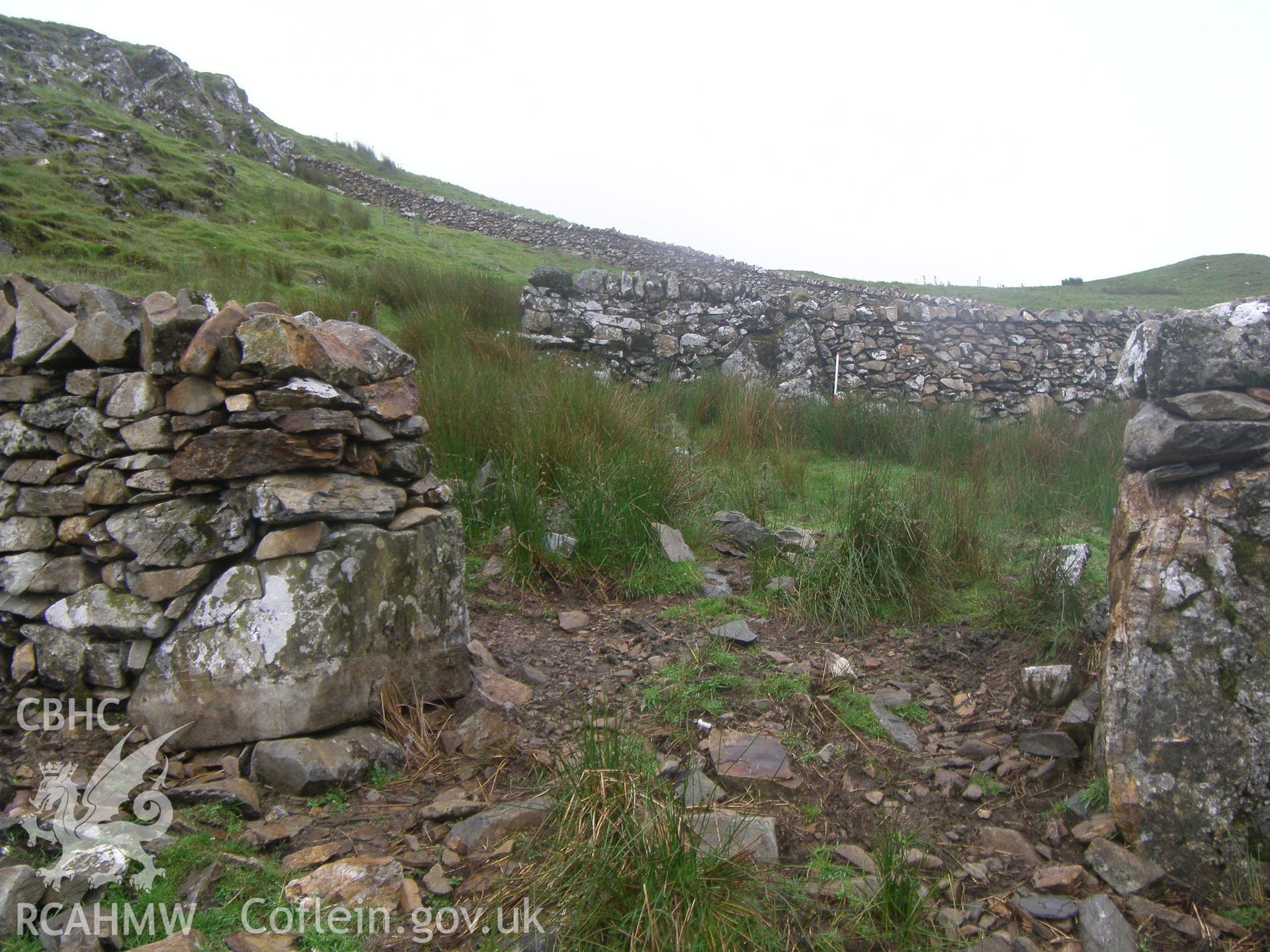 Pen y Rh?s Sheep Fold I, enclosure viewed facing north