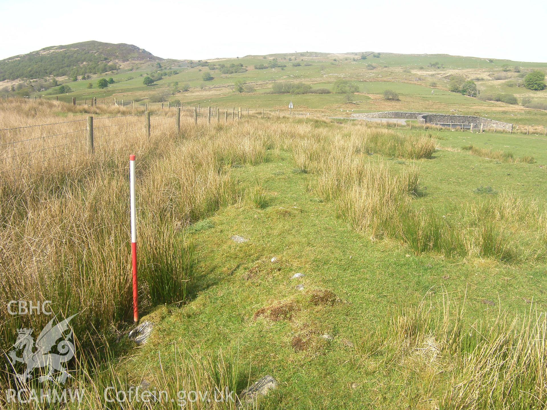 East of Pon Dol-y-Mynach Bank III, viewed facing west
