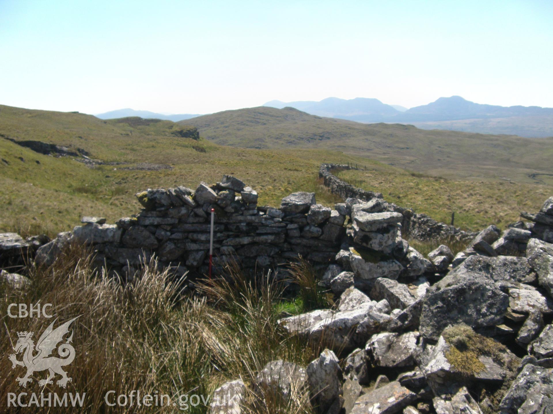 Moel Oernant Sheep Fold III, viewed facing west