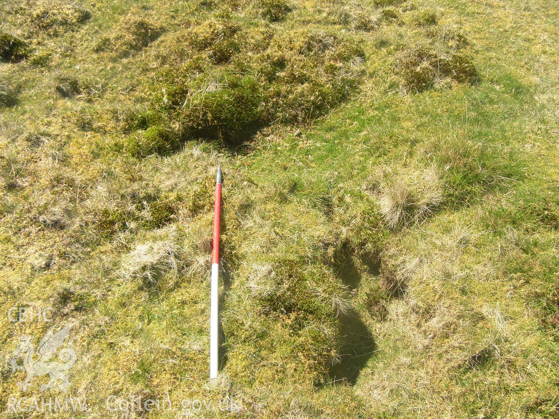 Mynydd Bach Bunker V, viewed facing southwest