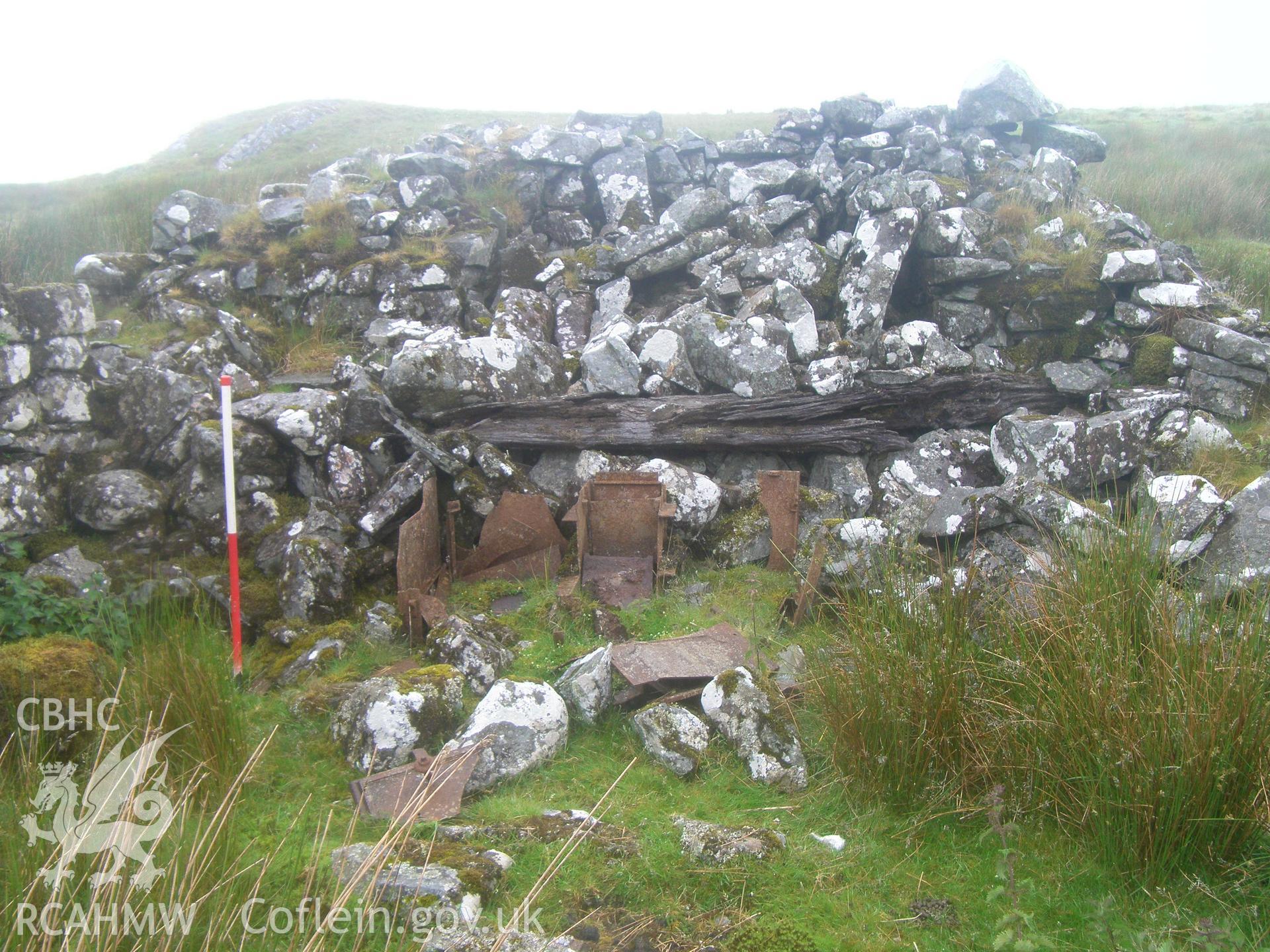 Buarth-Brwynog Farmhouse I, detail of hearth area viewed facing northwest