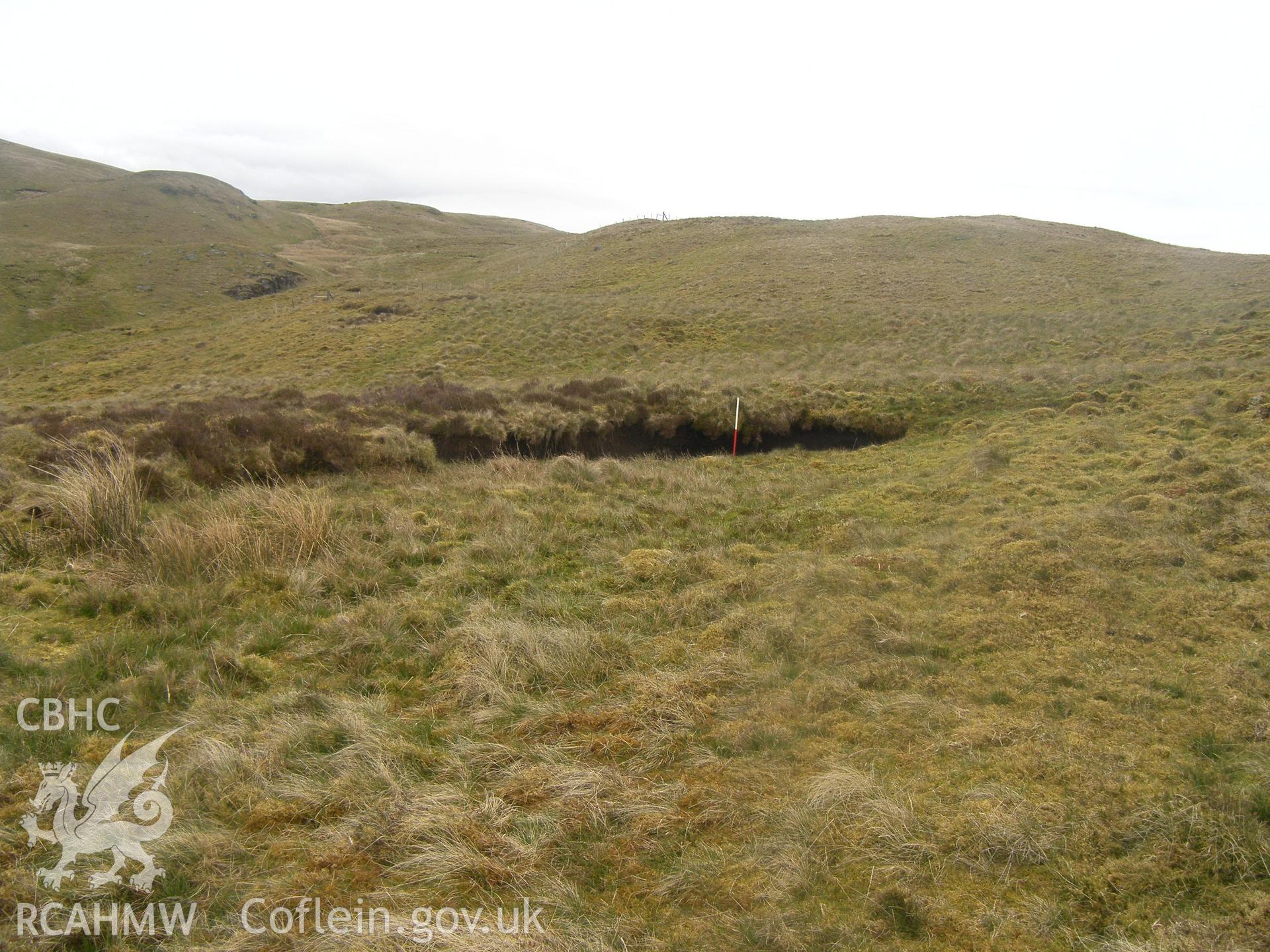 North of Ffridd Dol-y-Moch Peat Cutting III, viewed facing southeast