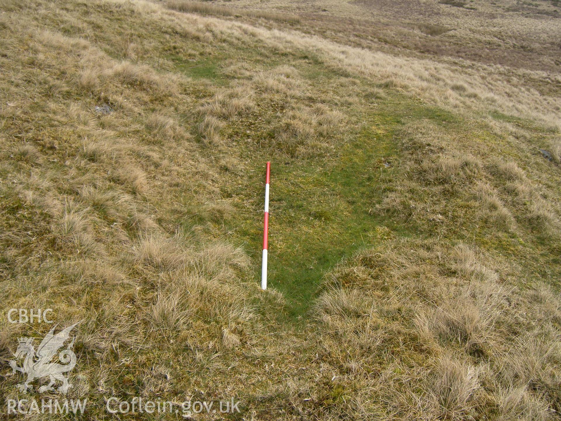 Pig Idris Building Platform II, viewed facing east