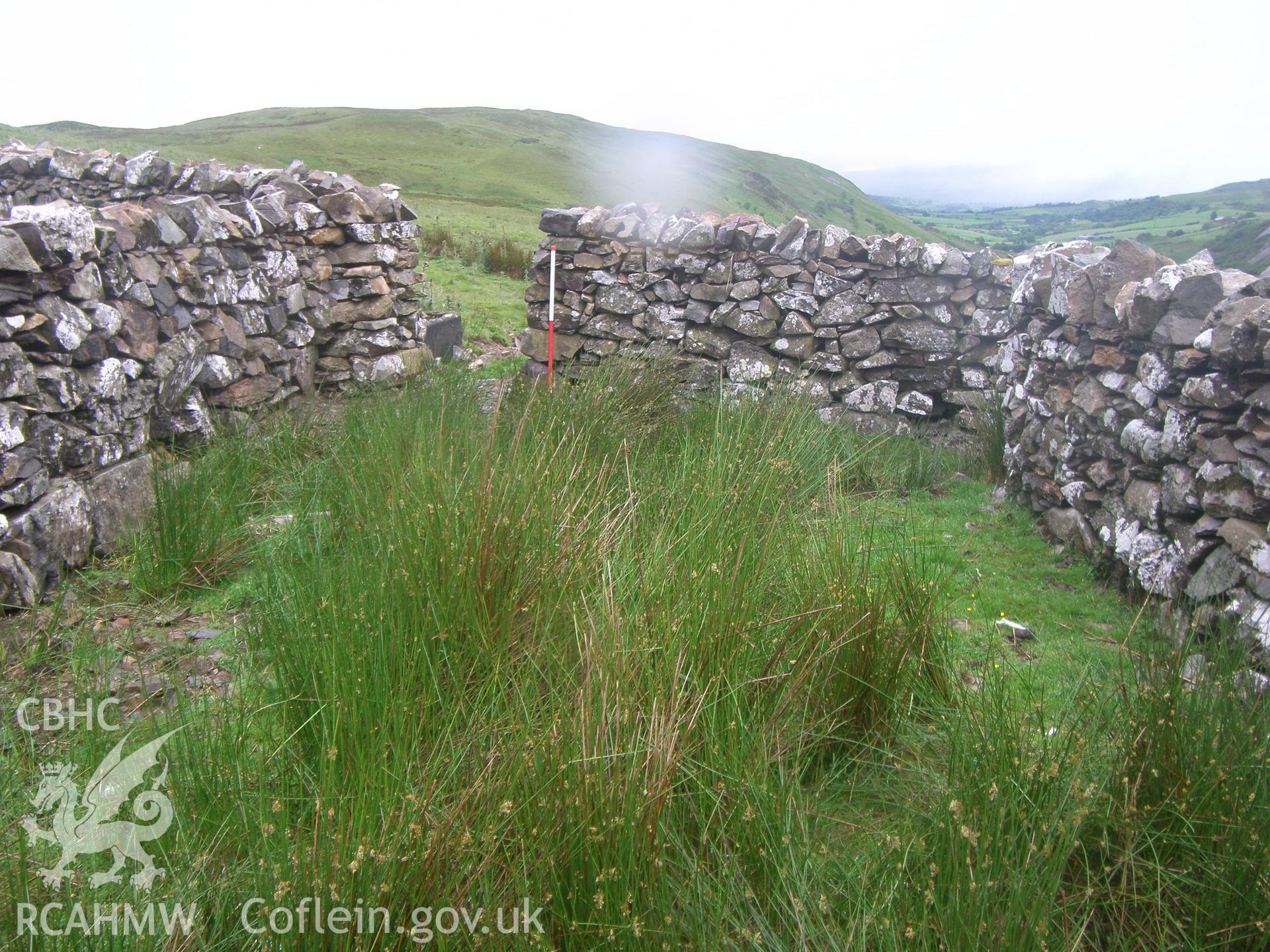 Pen y Rh?s Sheep Fold I, northern pen viewed facing west