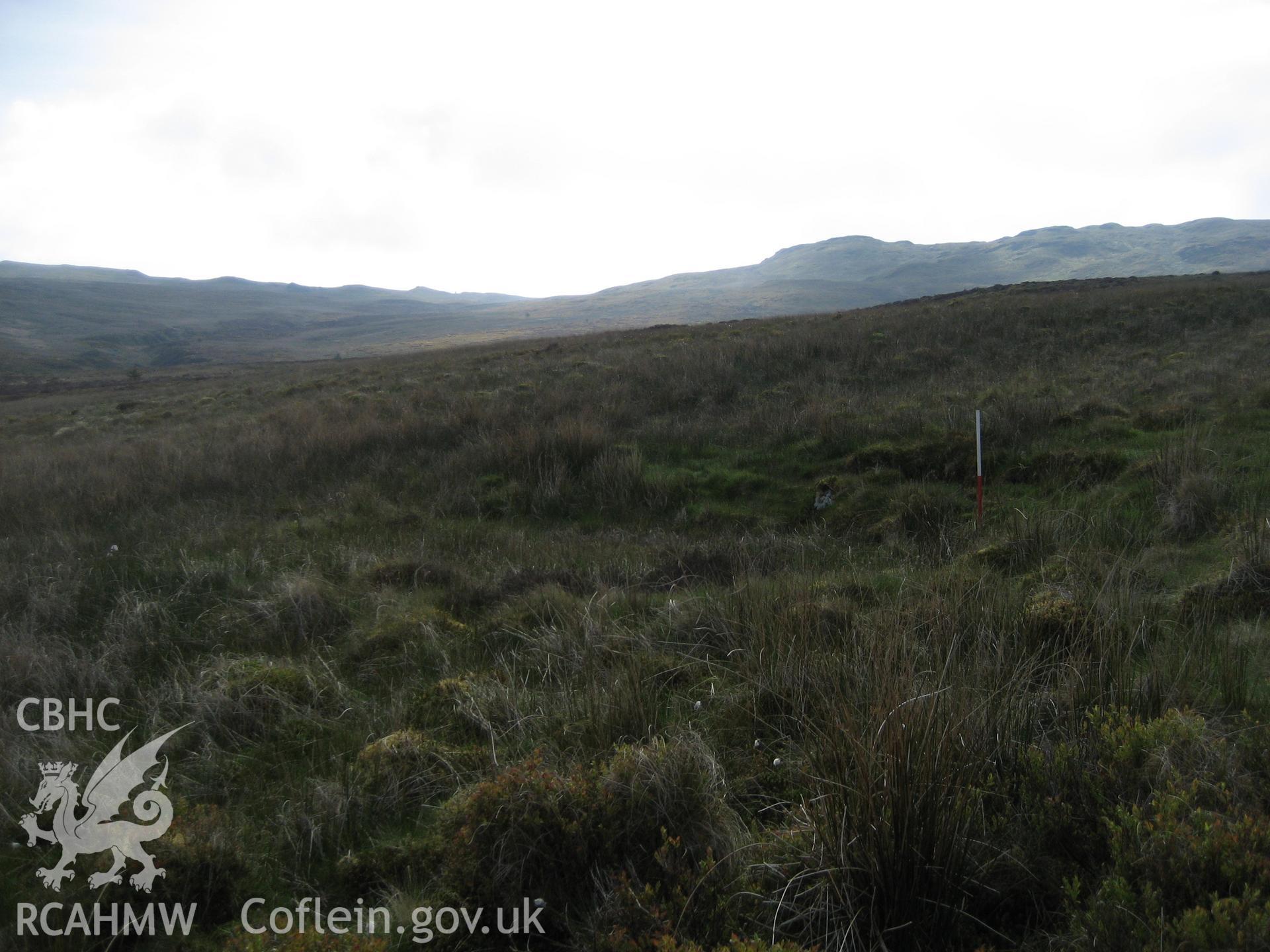 Waun Hir Platform I, viewed facing east