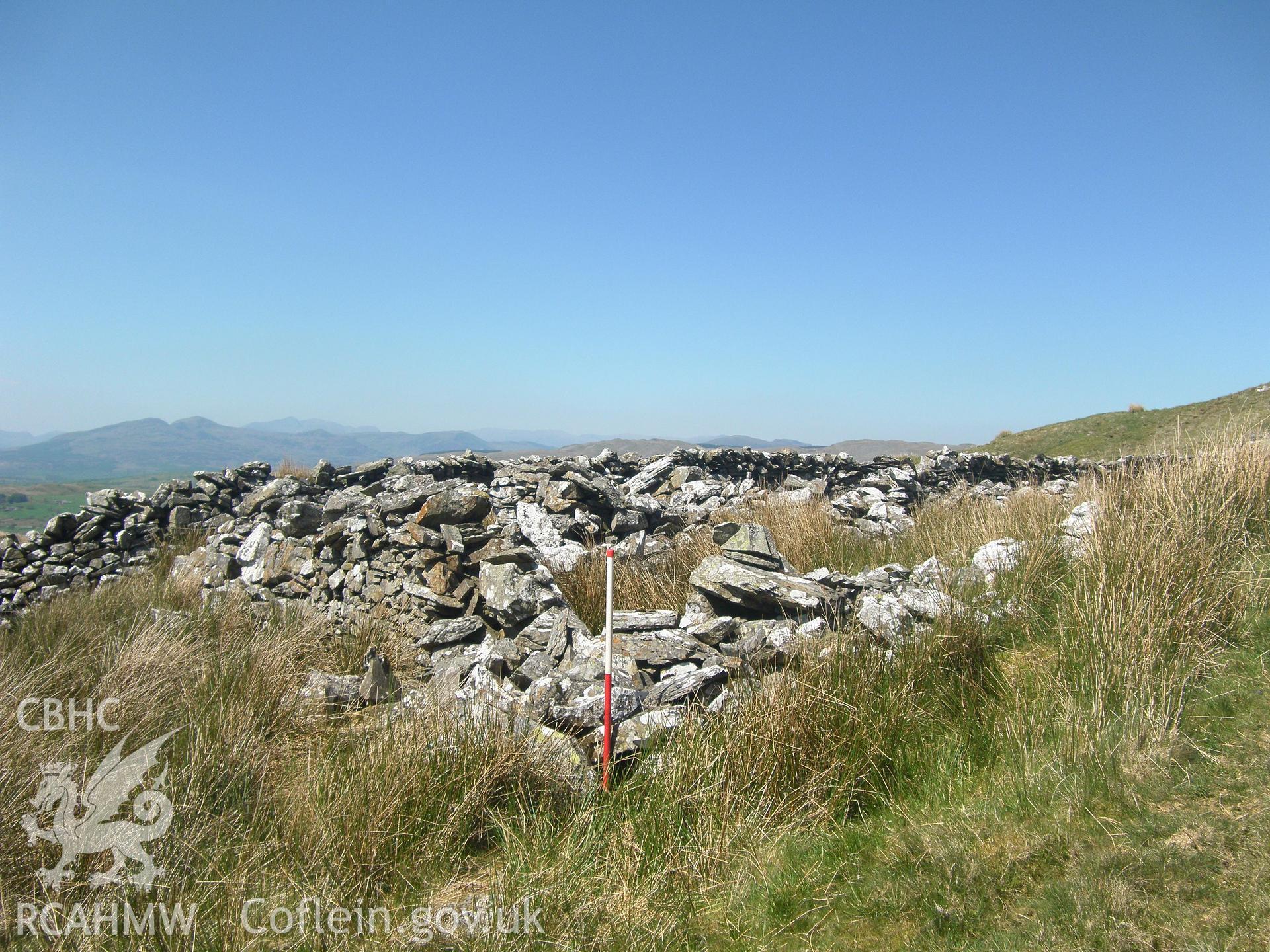 Moel Oernant Sheep Fold III, viewed facing north